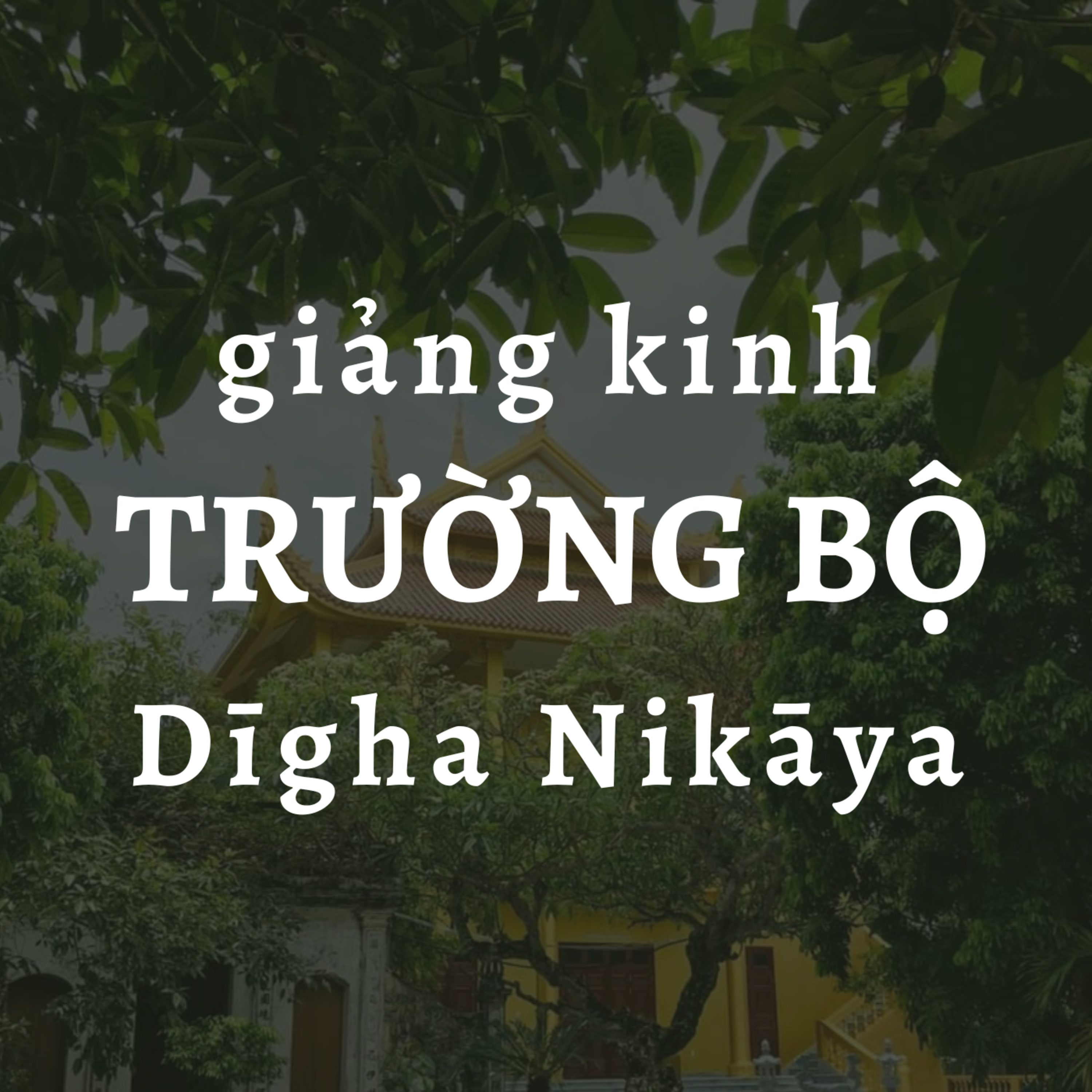 Sư Thanh Minh và các bài giảng Phật Pháp thuộc Kinh Nikaya