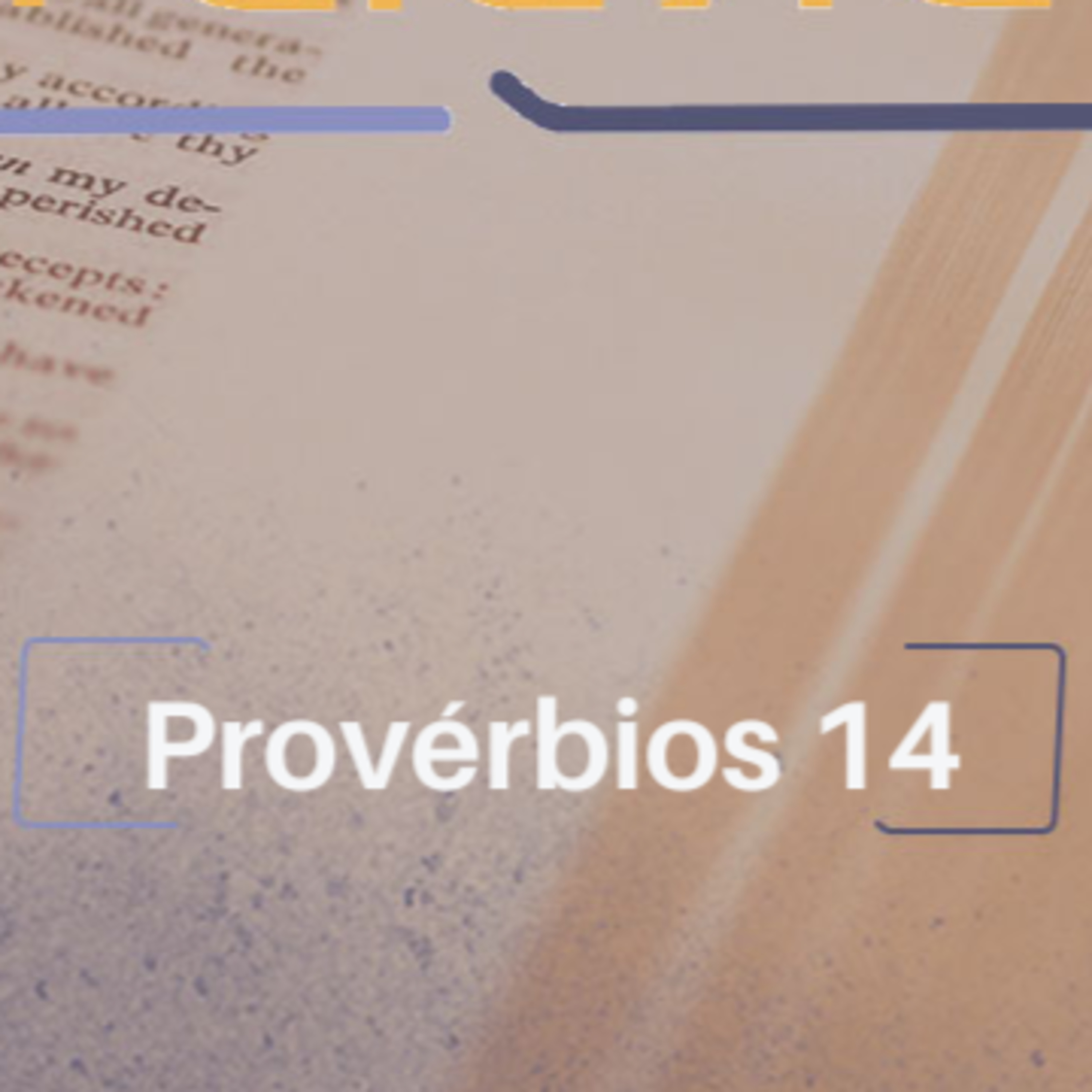 Provérbios 14
