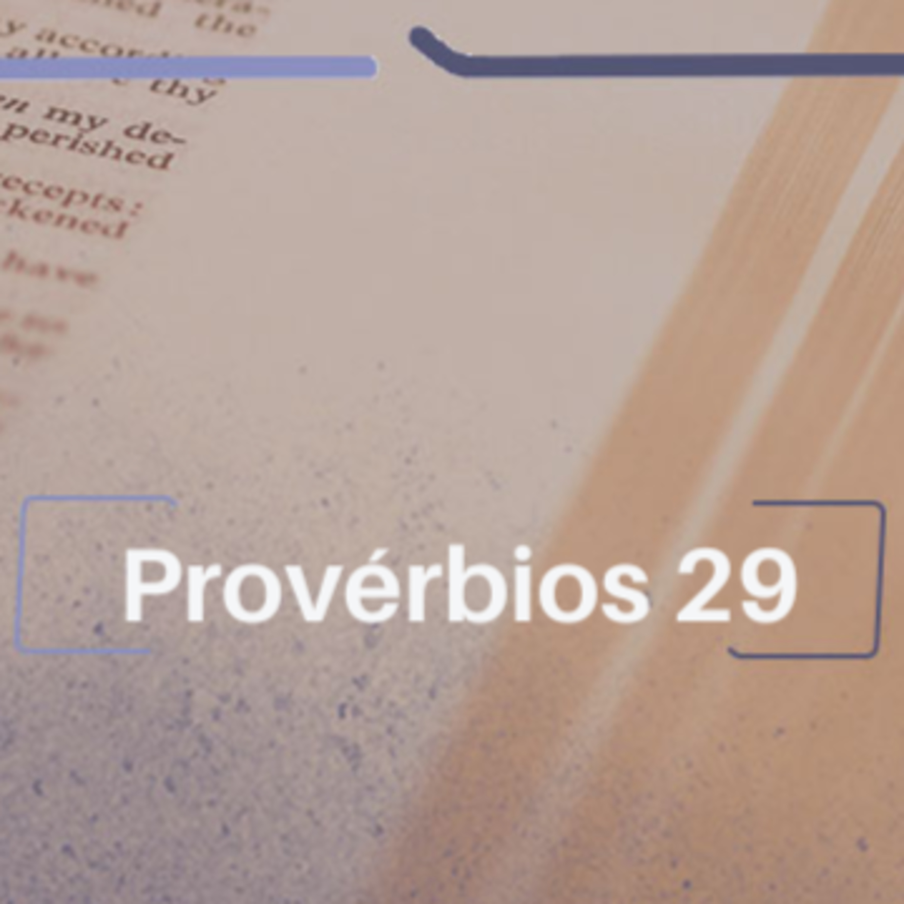 Provérbios 29