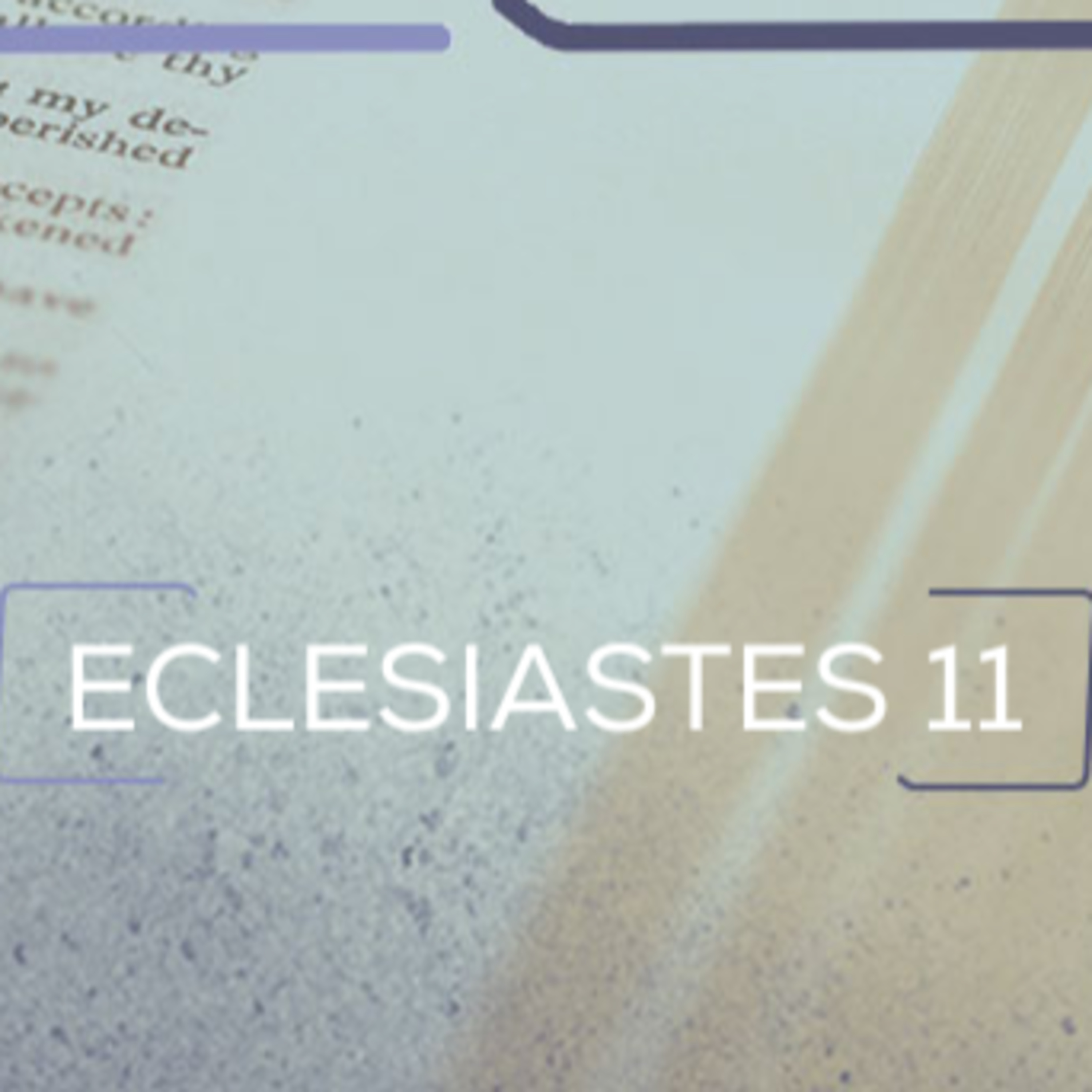 Eclesiastes 11