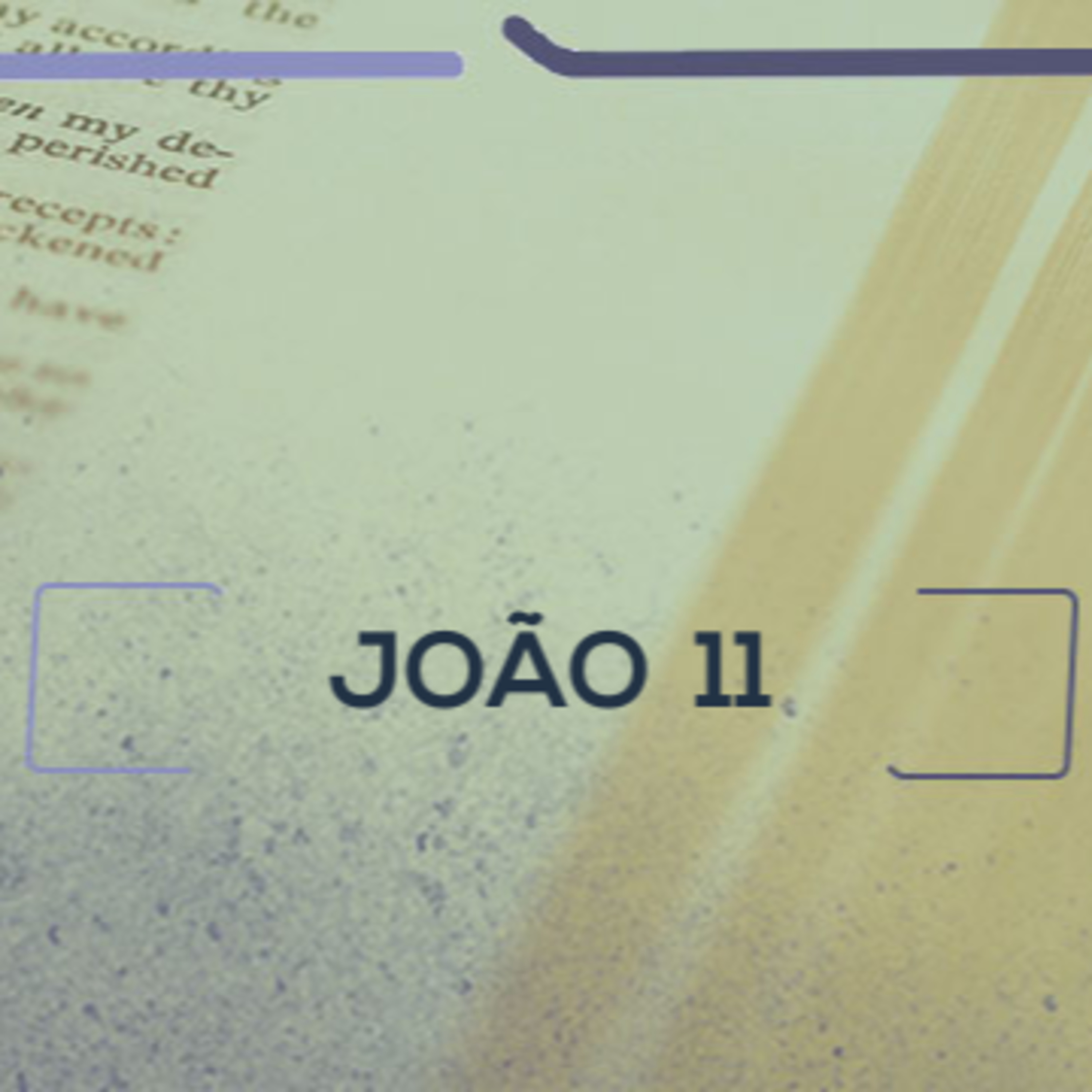João 11