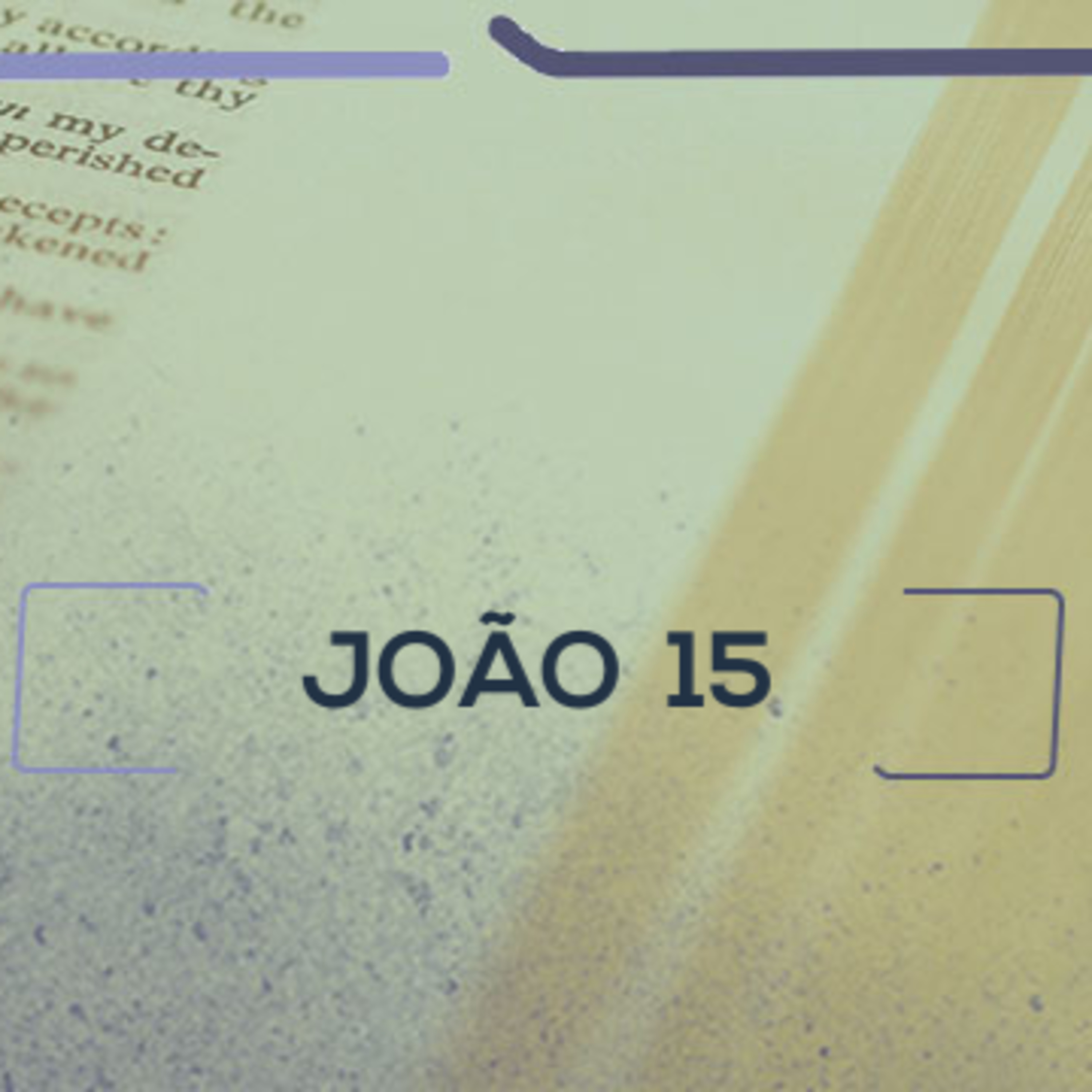 João 15