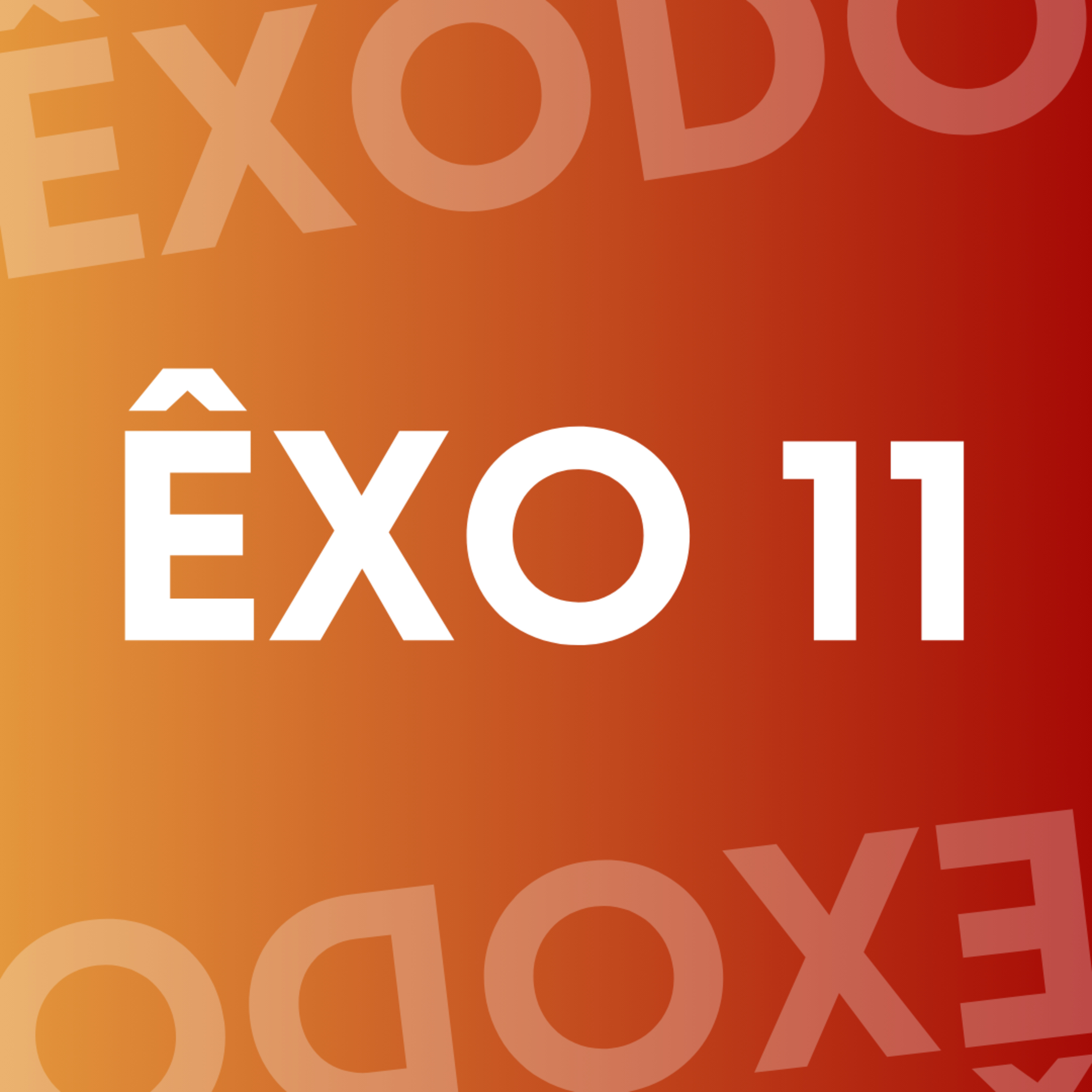ÊXODO 11