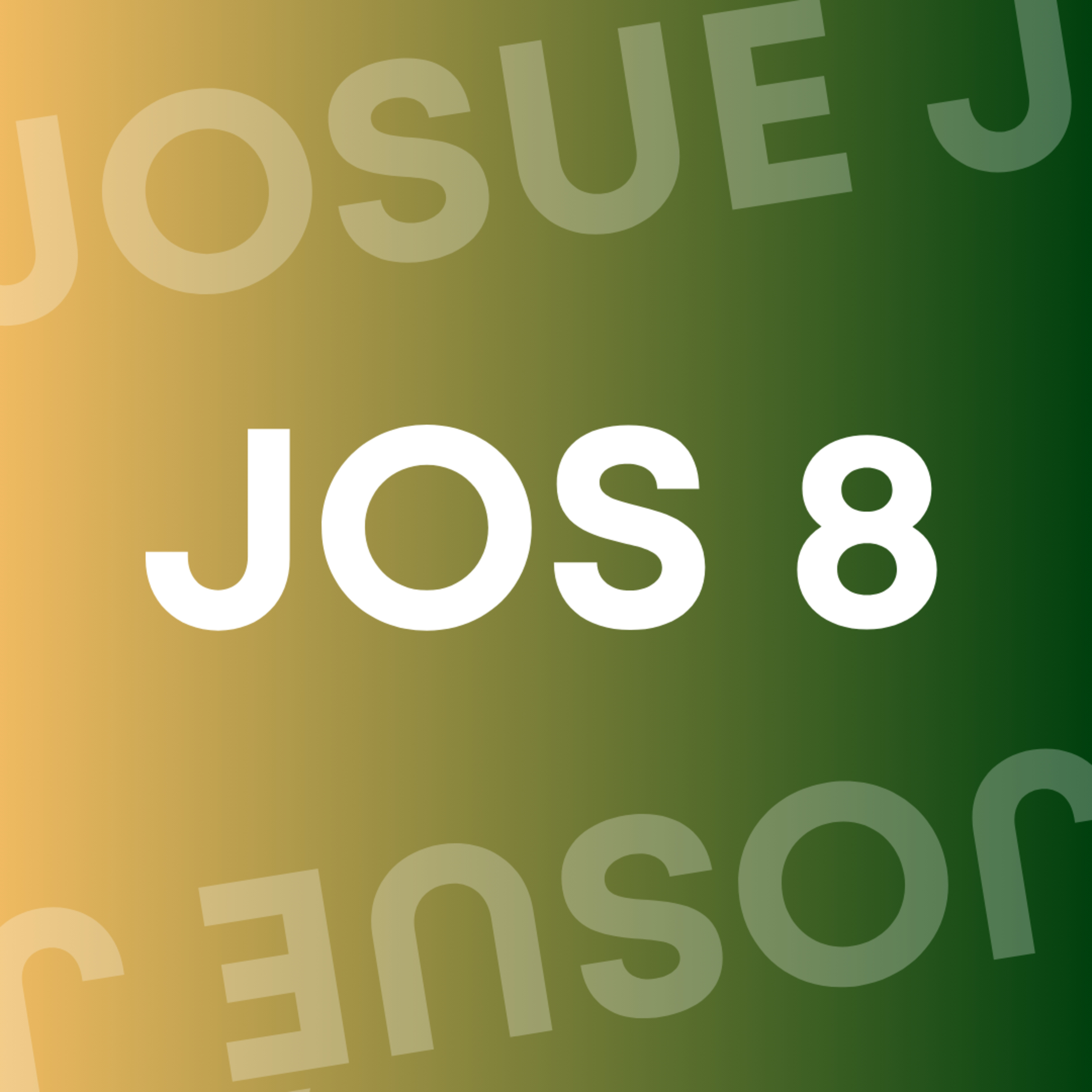 JOSUÉ 8