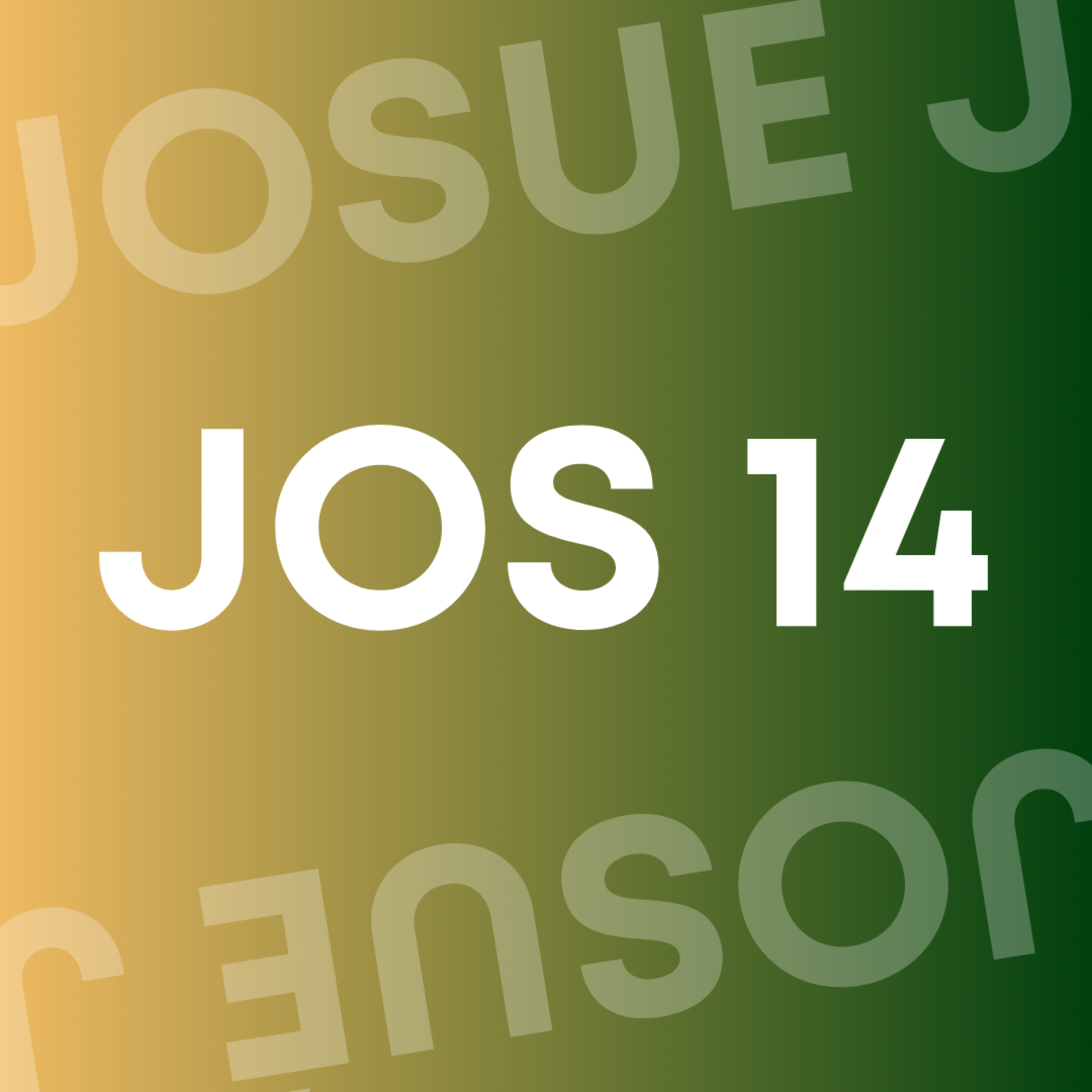 JOSUÉ 14