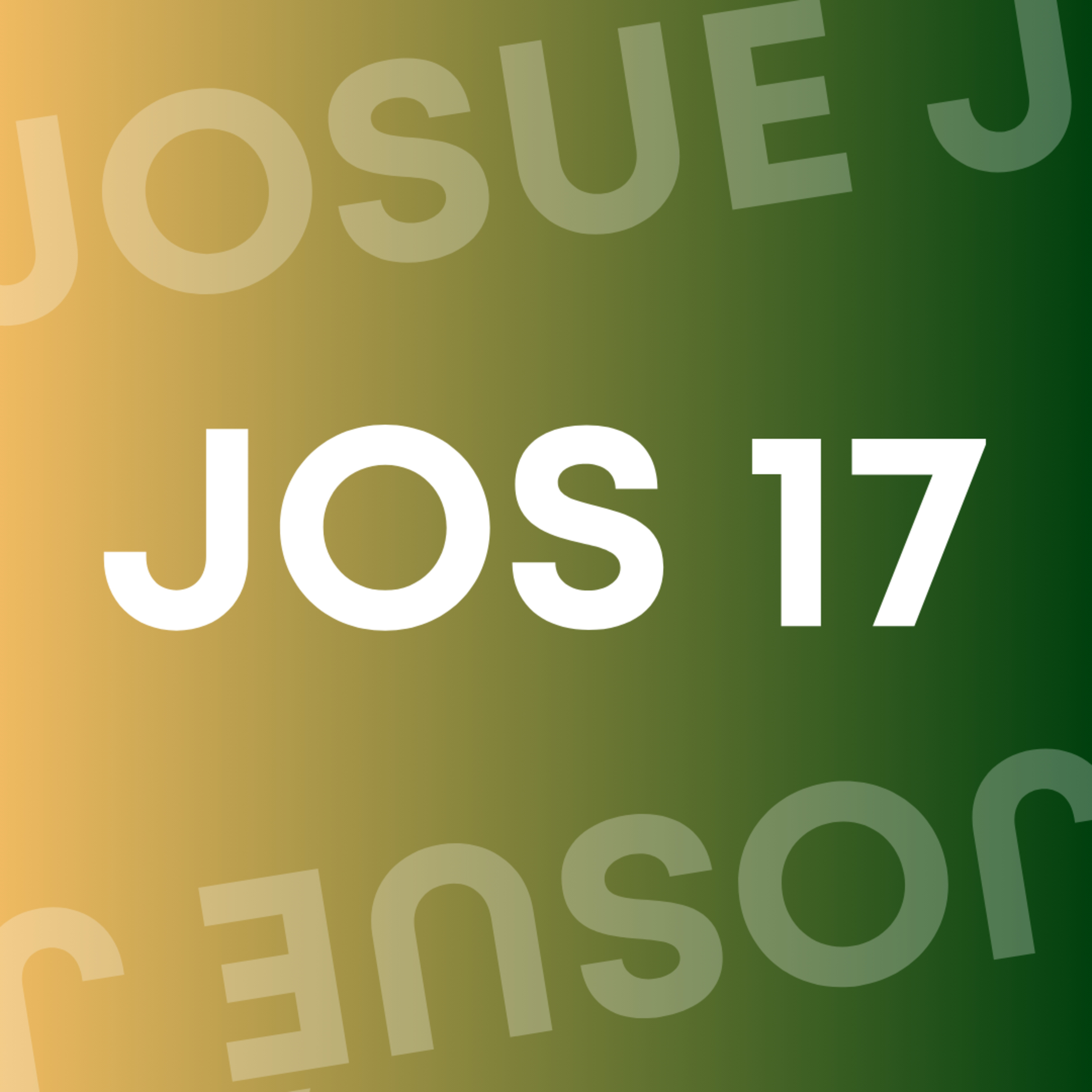 JOSUÉ 17