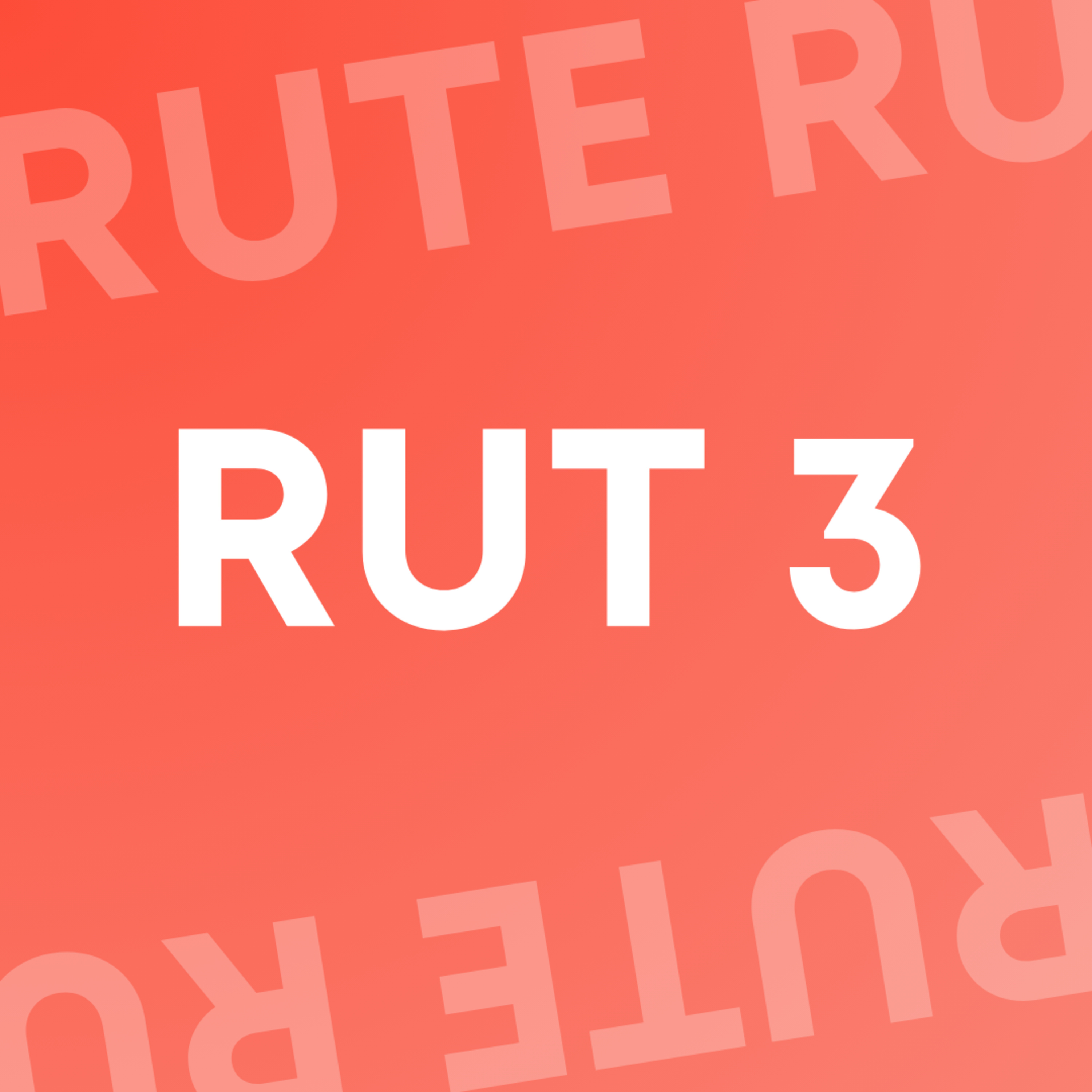 RUTE 03