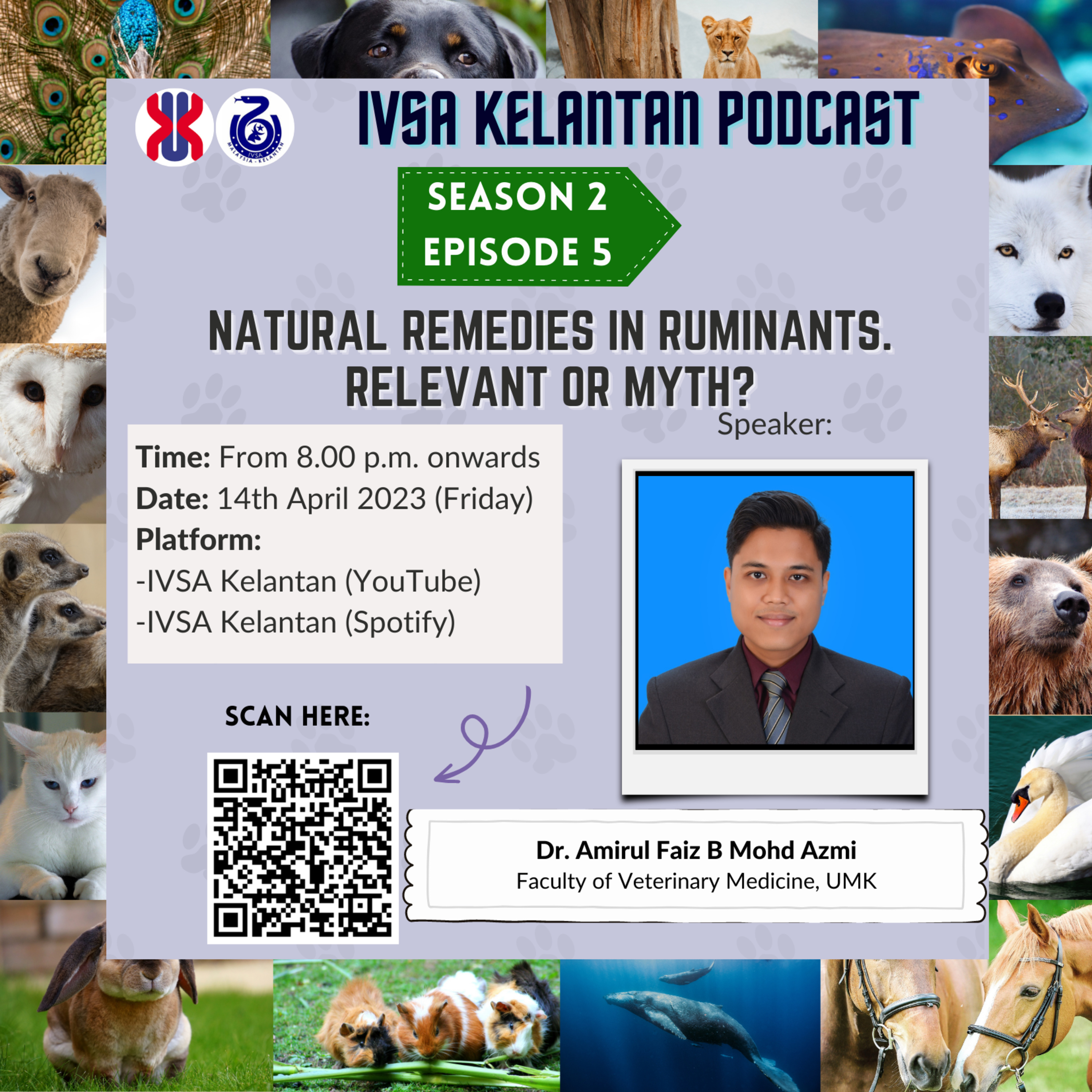 IVSA Kelantan Show