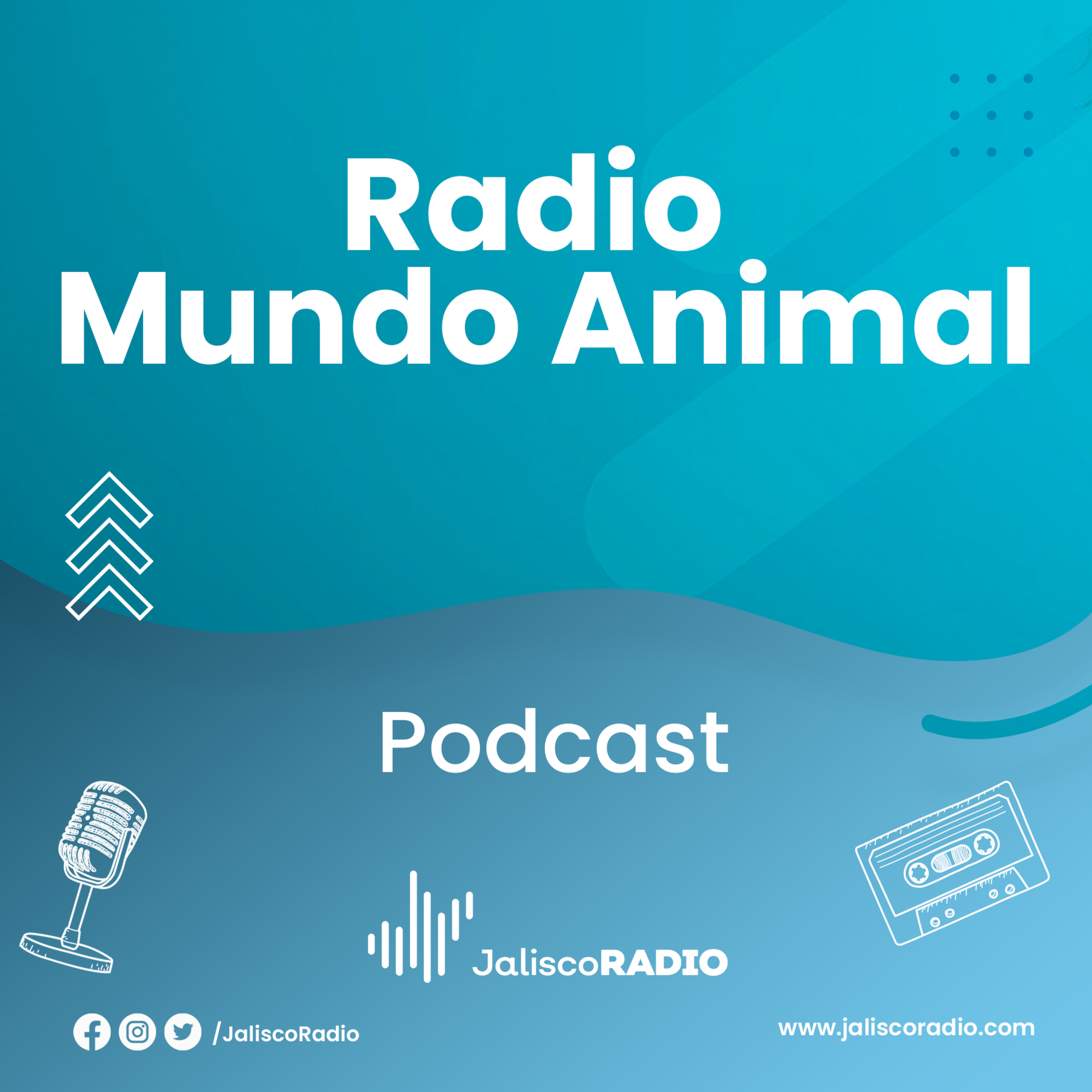 Radio Mundo Animal - Medicina Felina - 27 de Abril del 2024 episode artwork