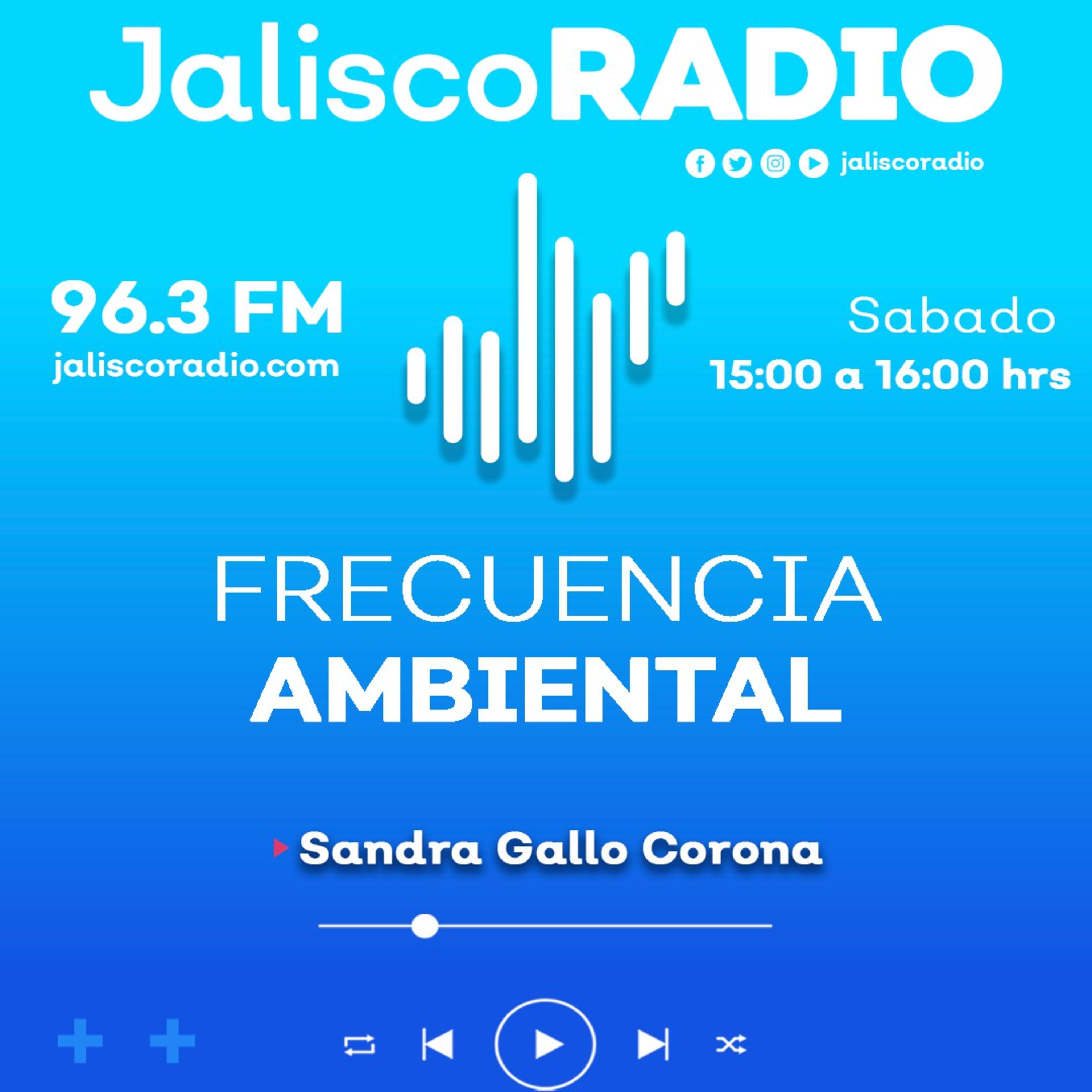 Frecuencia ambiental - 23 de Noviembre del 2024