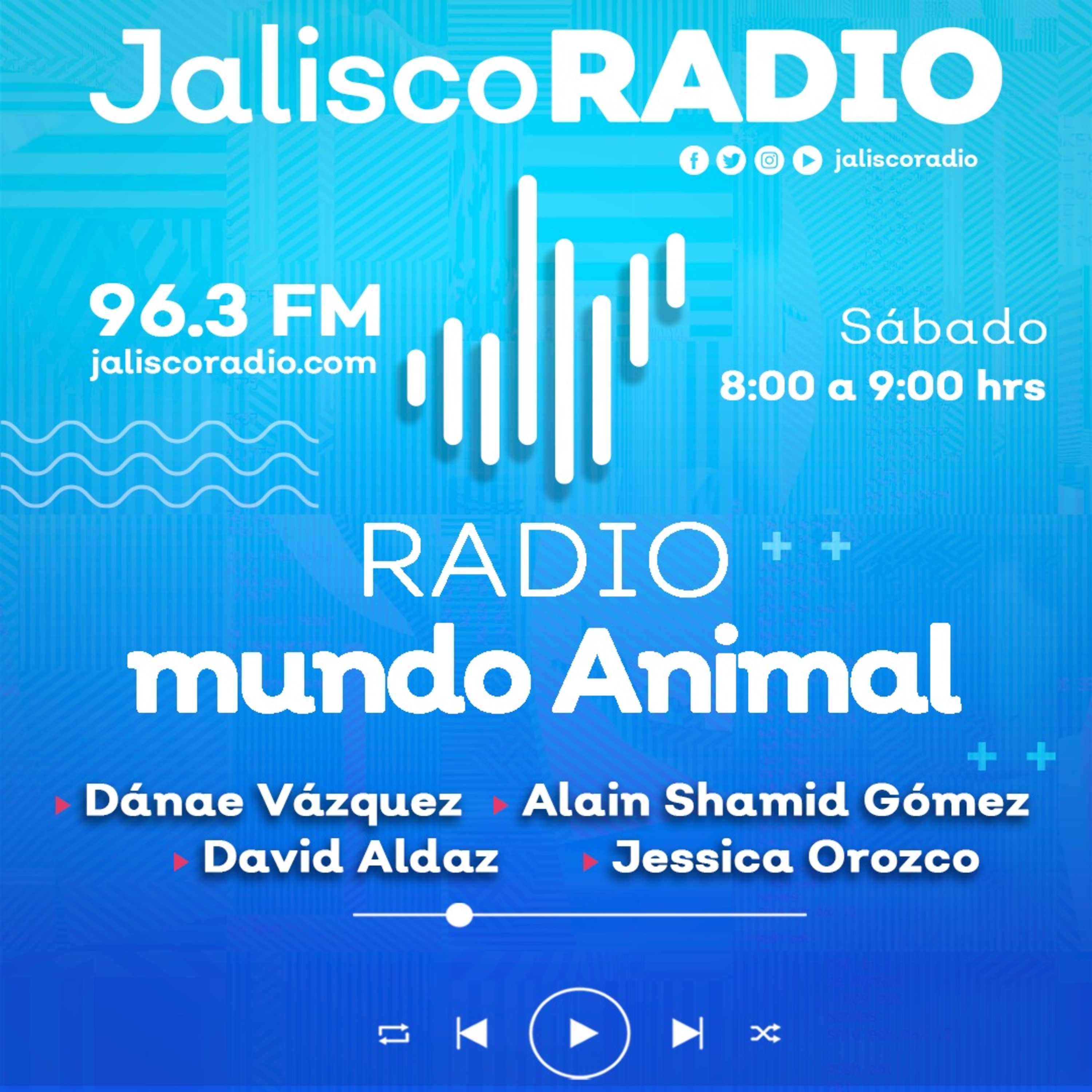 Radio Mundo Animal - Veterinarias en acción - 08 de Marzo del 2025 episode artwork