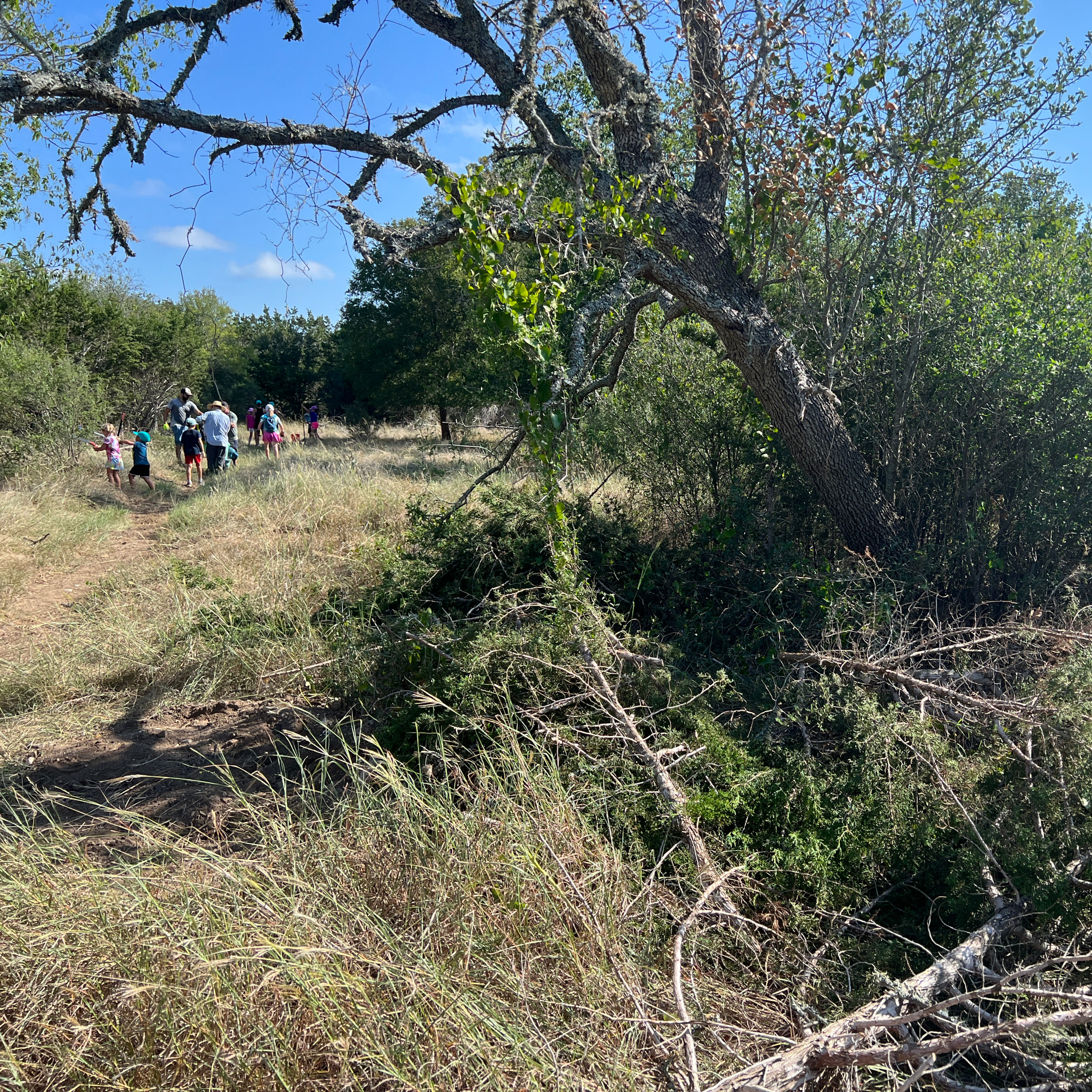 The Cedar Choppers and Why I Am Not Cut Out for Trail-Building