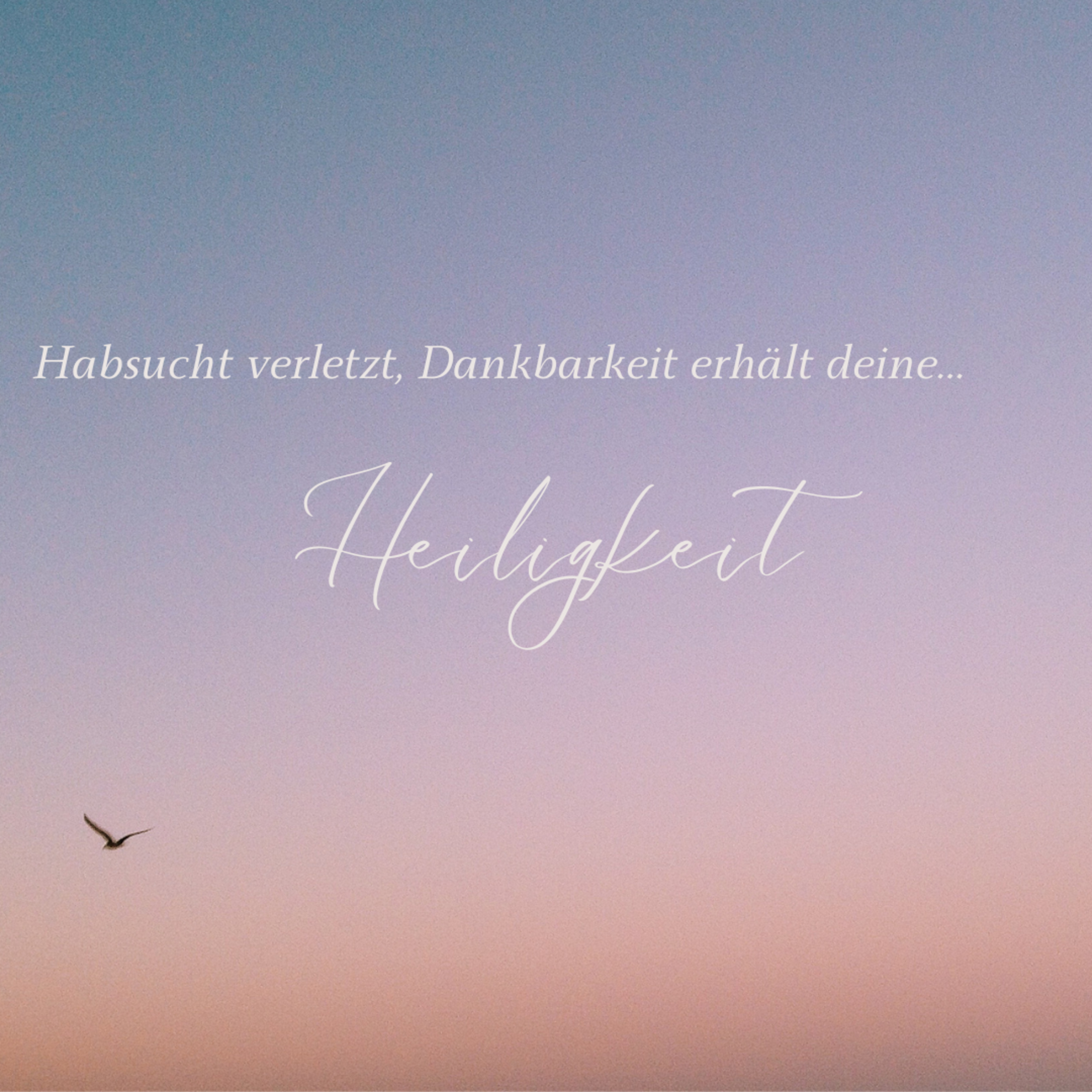 Predithek