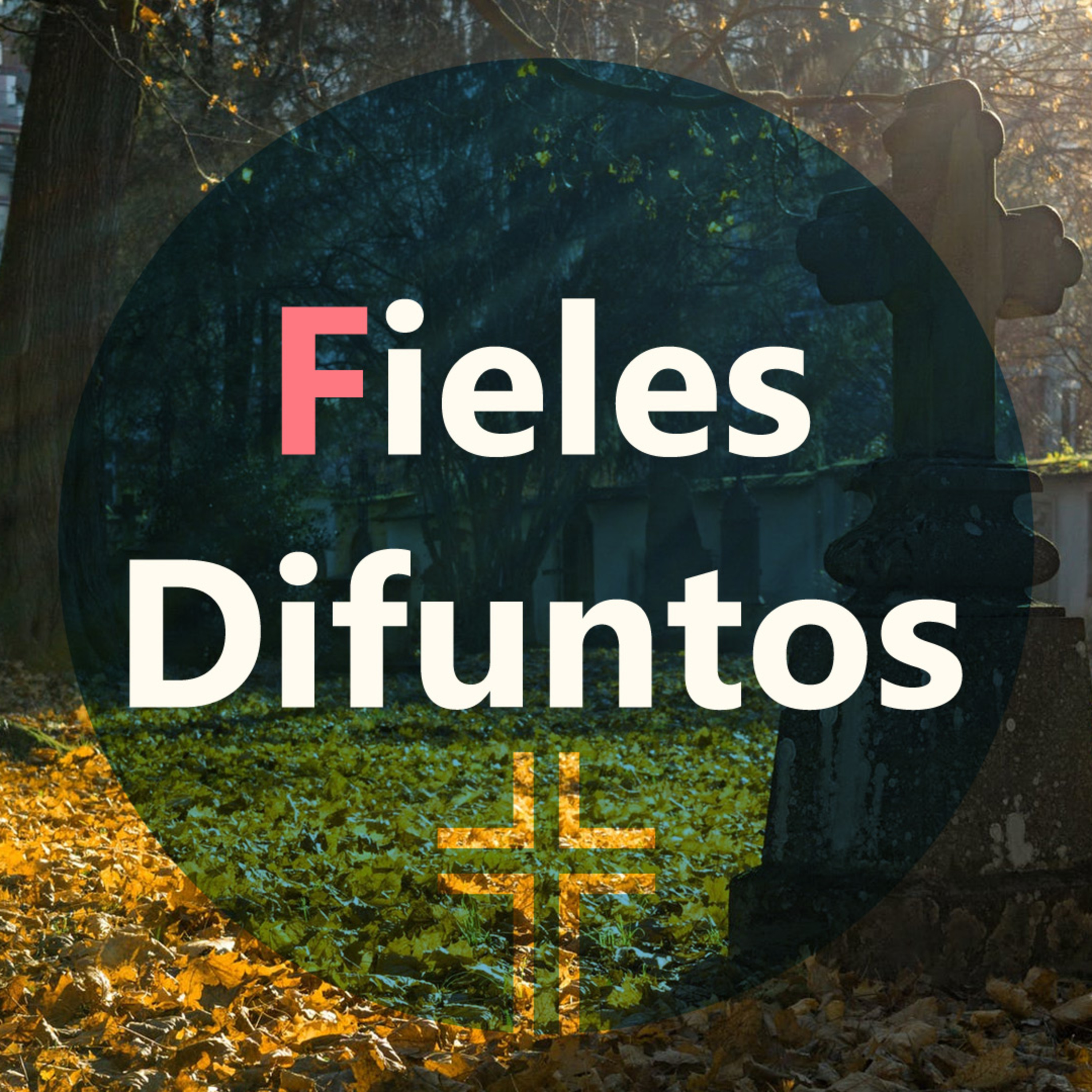 Ora Evangelis - Oración y Evangelio - Evangelio de hoy