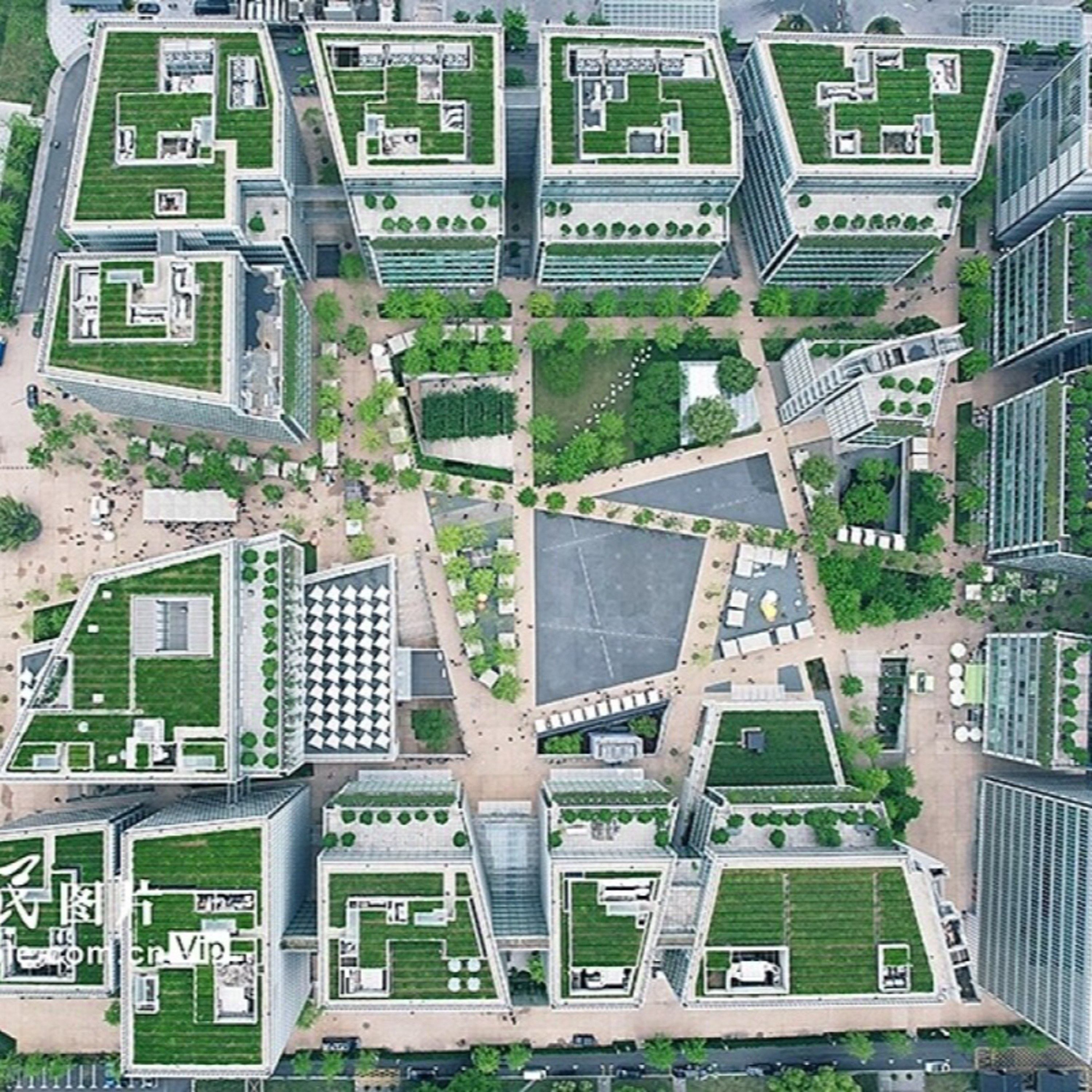 杭州の高層オフィスビル屋上で栽培する龍井茶が新たな都市景観に episode artwork