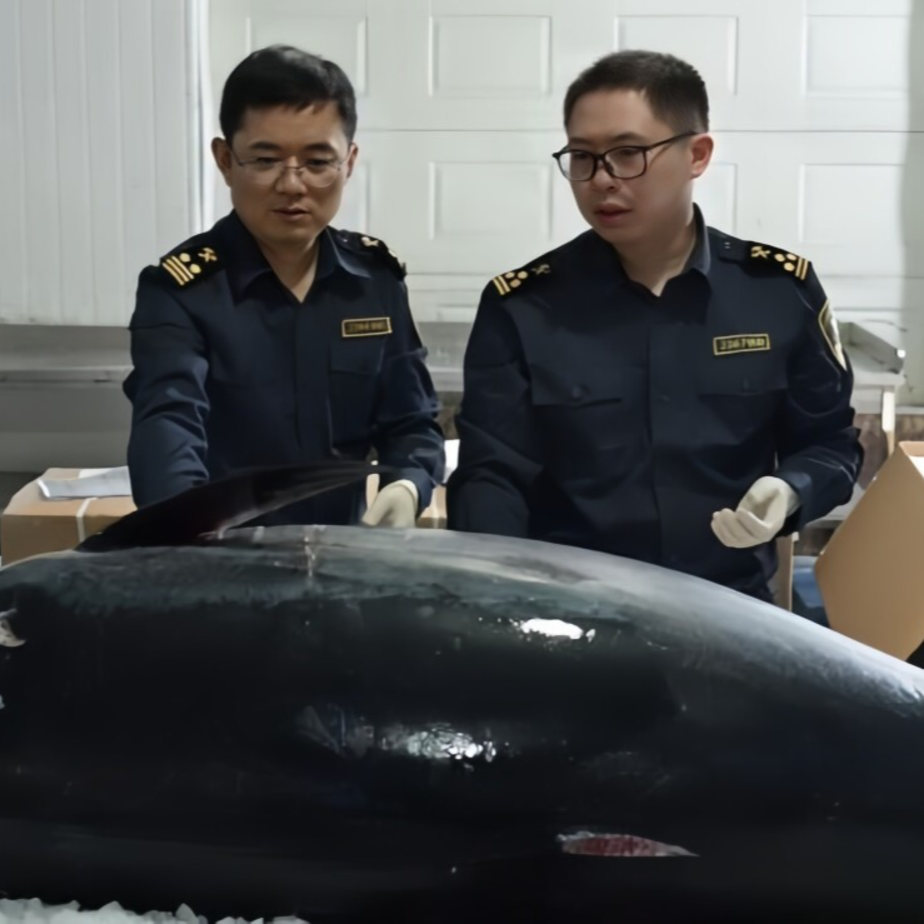 2023年の輸入博でお目見えのマルタ産クロマグロ、正式に中国市場に進出 episode artwork
