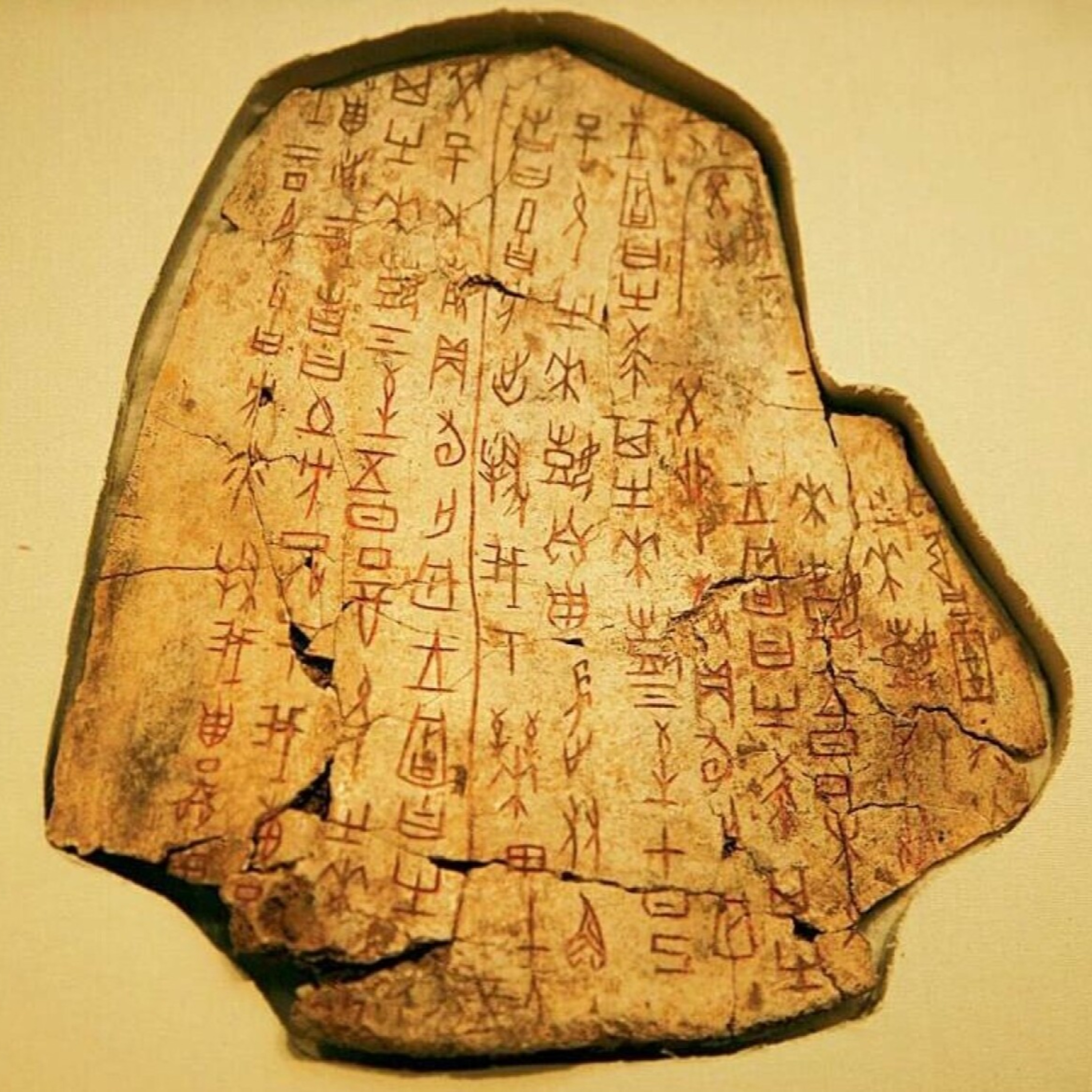 3000年前の甲骨文字も調べられる、中国が世界最大の言語資源データベースを構築 episode artwork