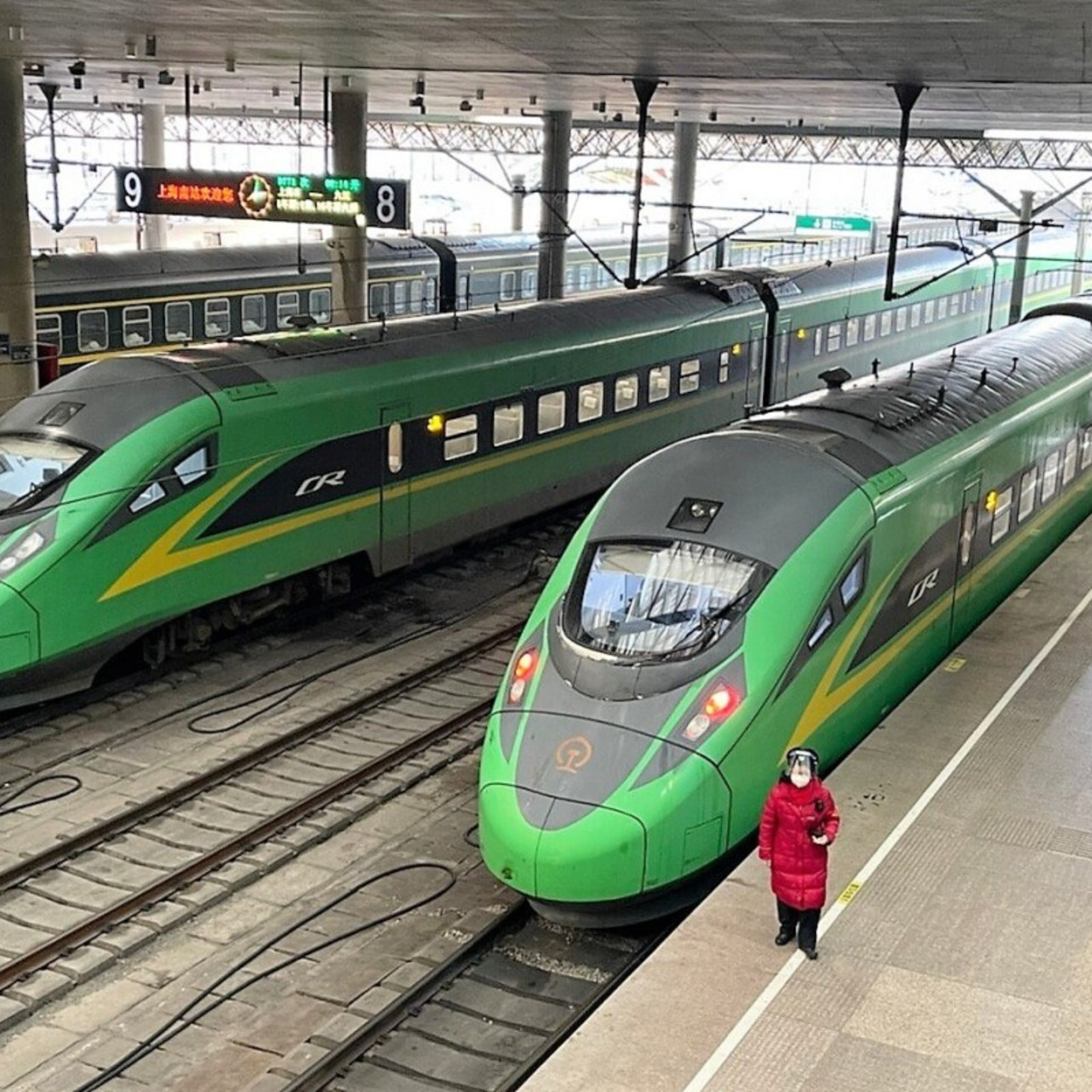 中国の一部の高速列車でペット預かりサービスがスタート episode artwork