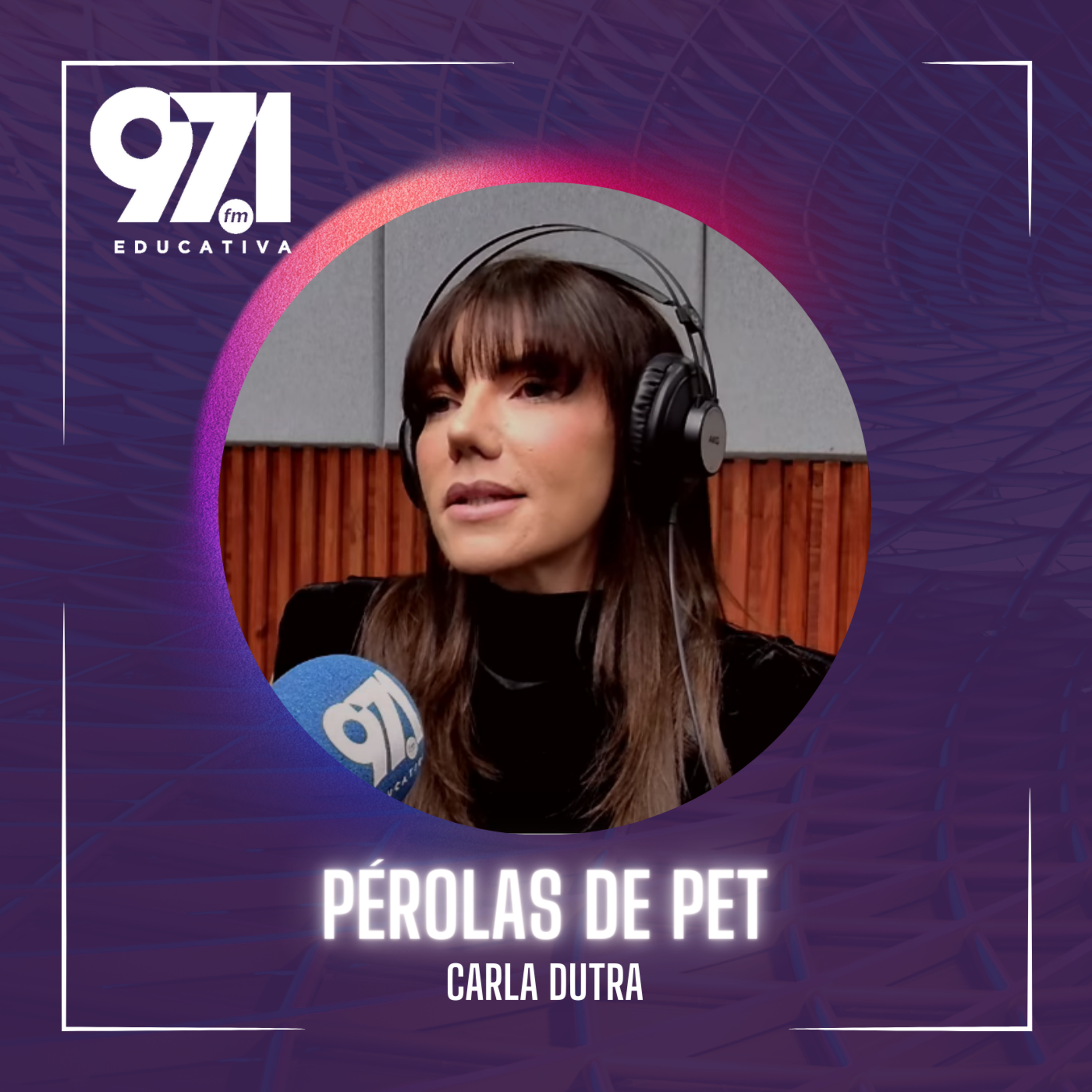 Papo Educativa - Pérolas de PET episode artwork