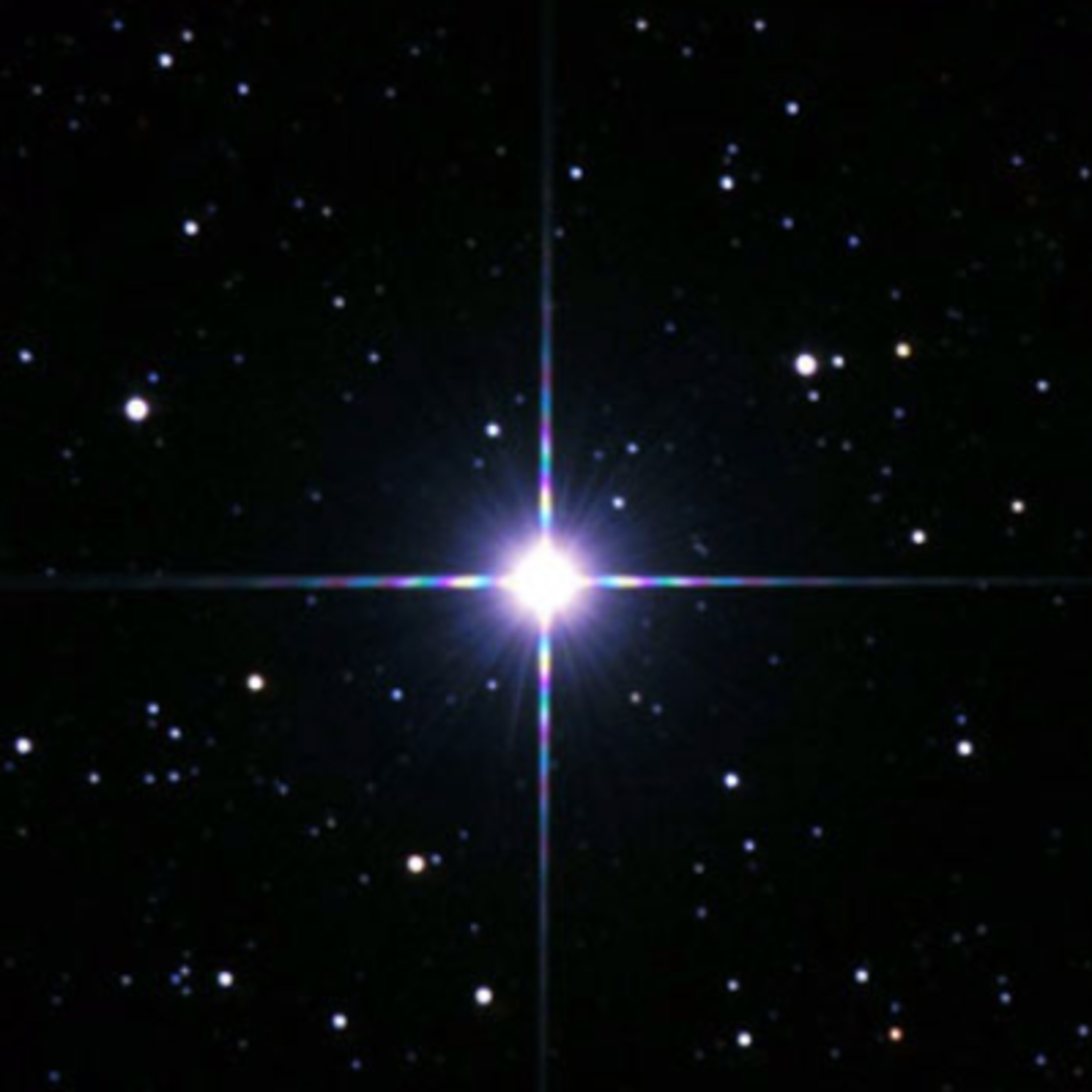 The Natural Order w/ Jayme Brock