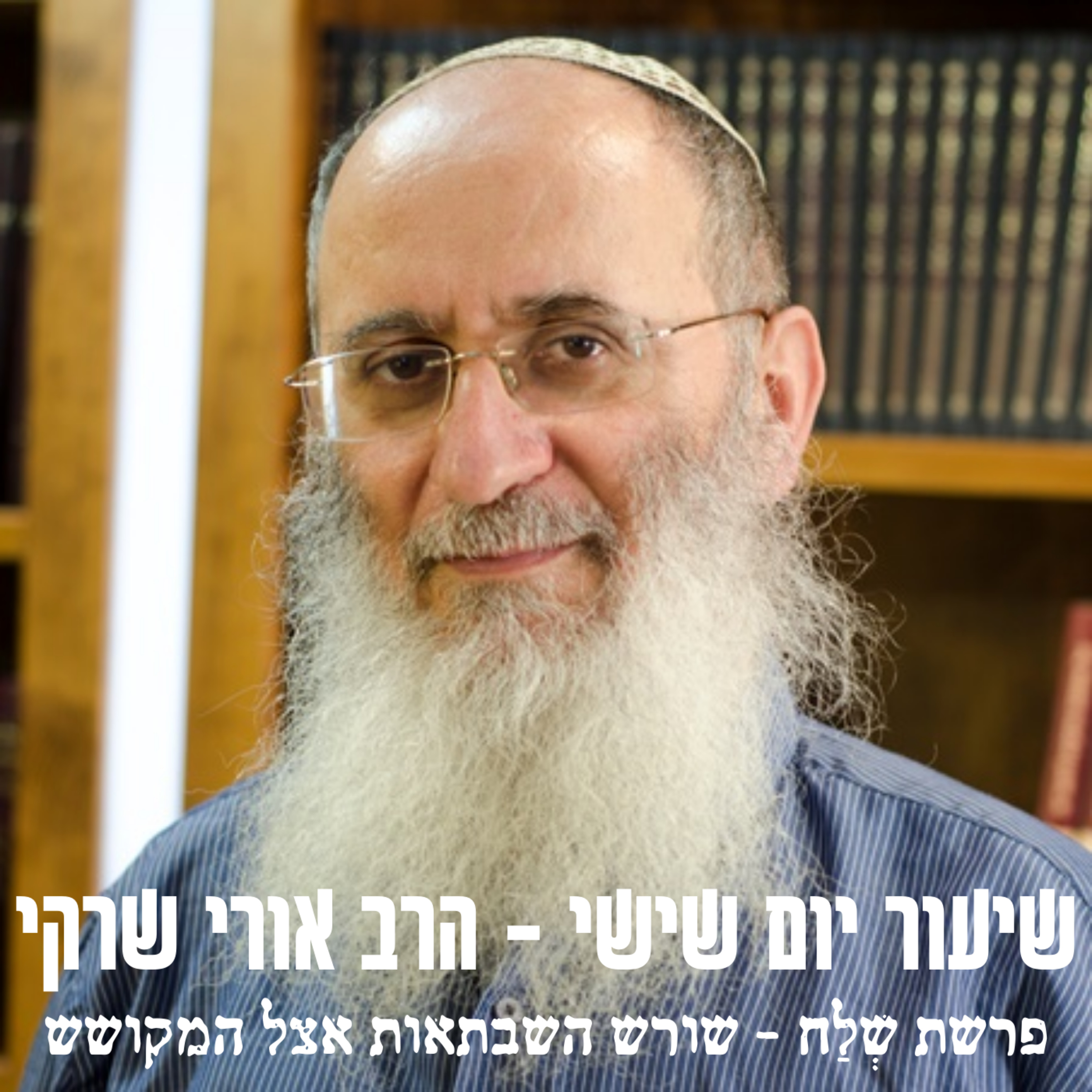 פרשת שלח לך- שורש השבתאות אצל המקושש episode artwork