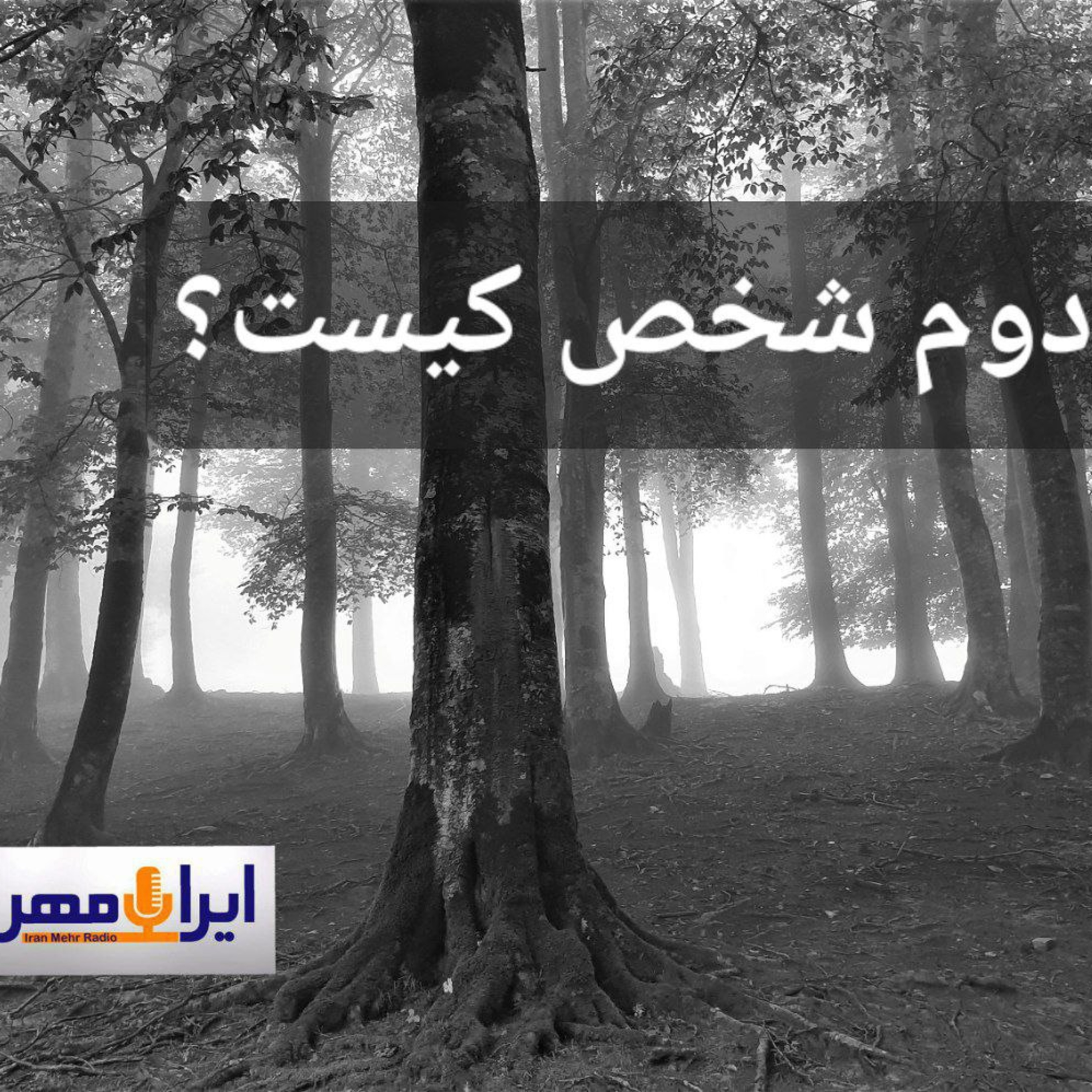دوم شخص کیس؟ episode artwork