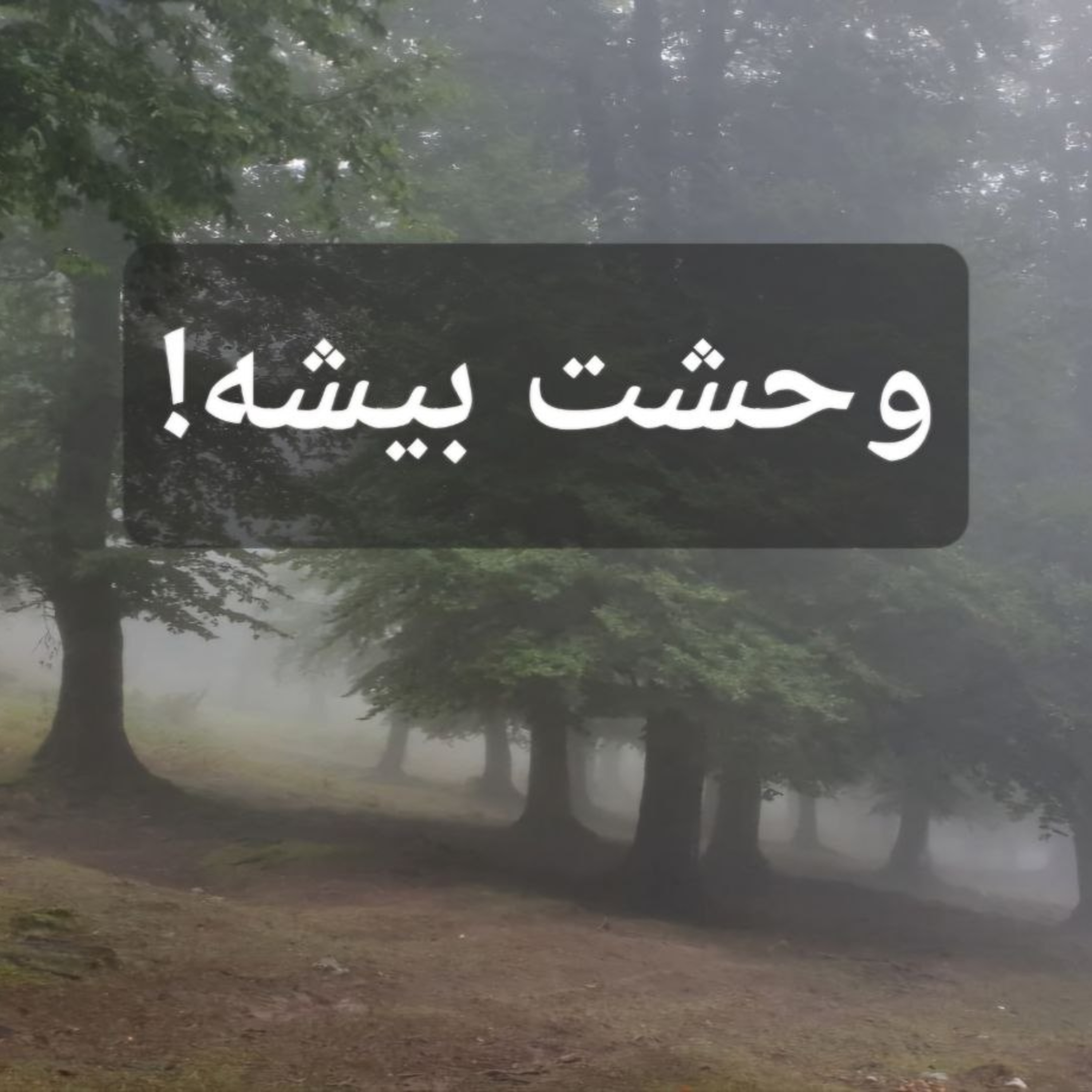 چه کسانی در خانه‌ای خالی به ما خیره می‌شوند؟ episode artwork