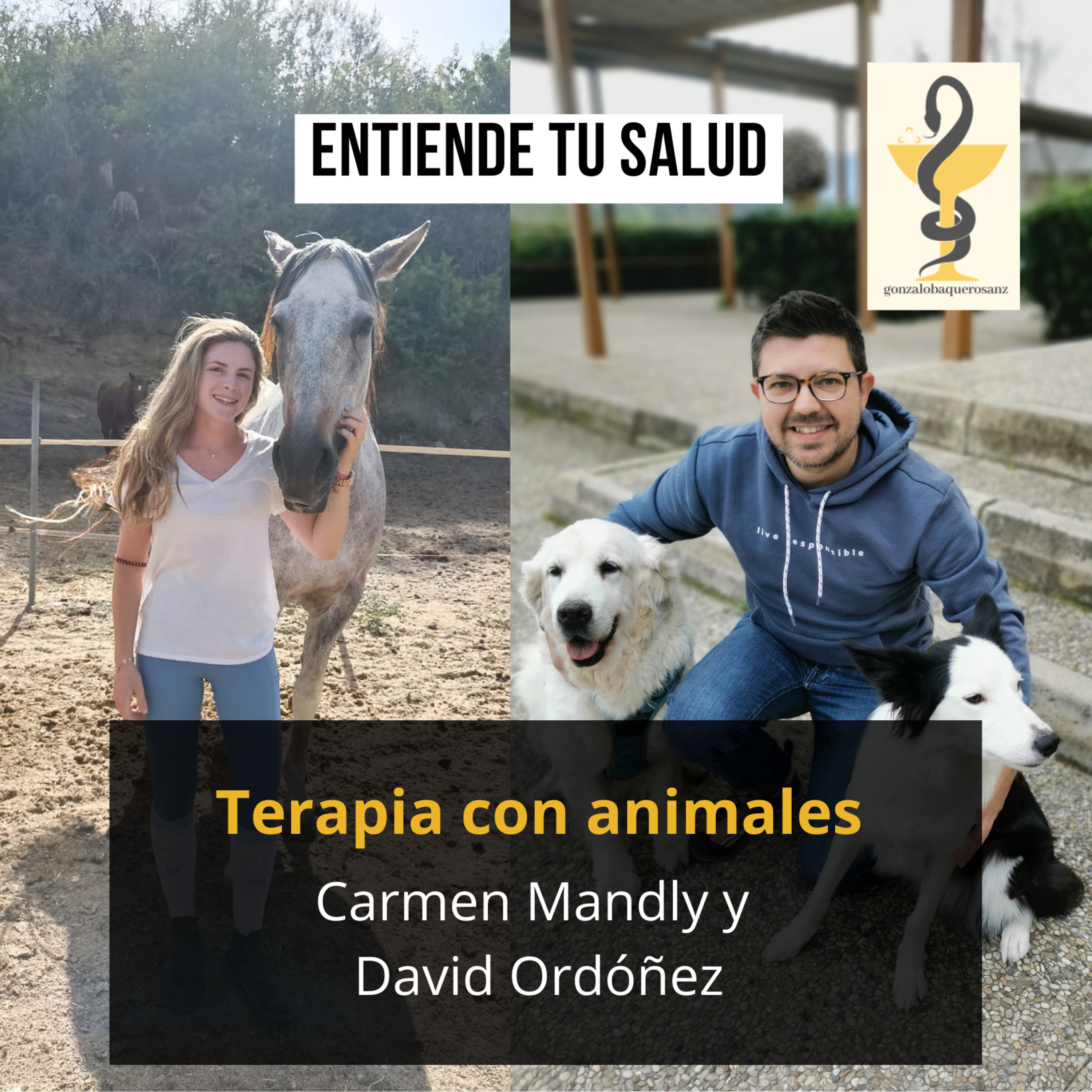 124. LA TERAPIA CON ANIMALES. Tratar, curar y acompañar con perros y caballos. Con Carmen Mandly y David Ordóñez