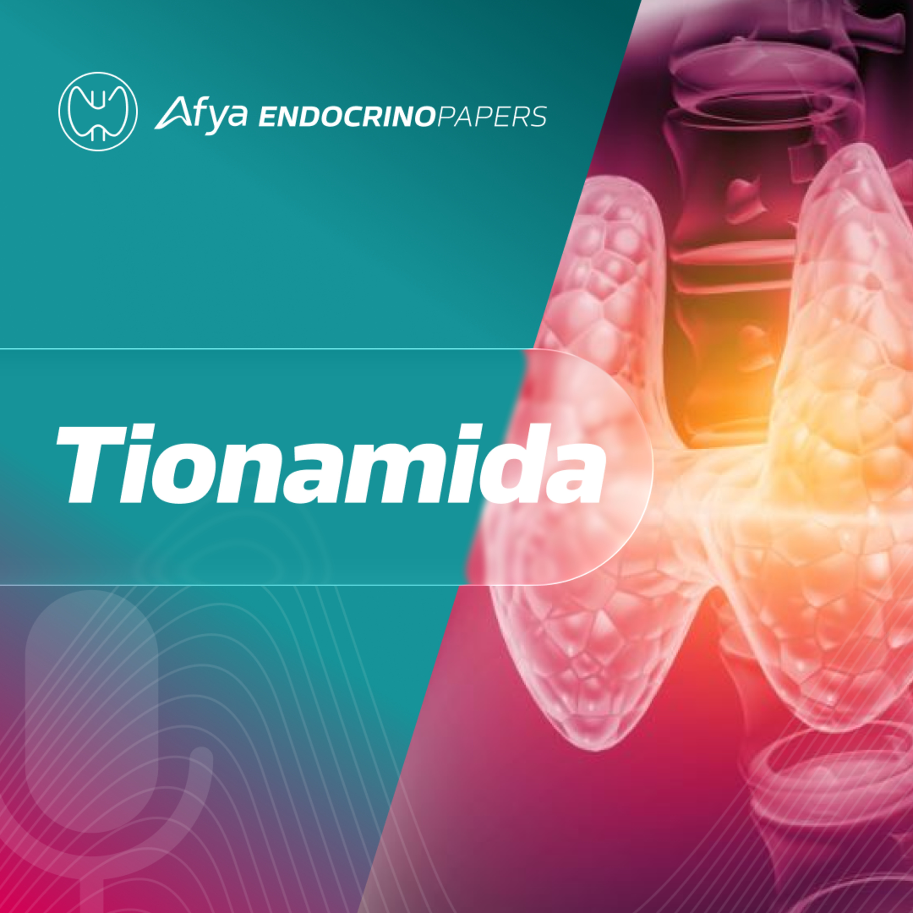 Afya Endocrinopapers