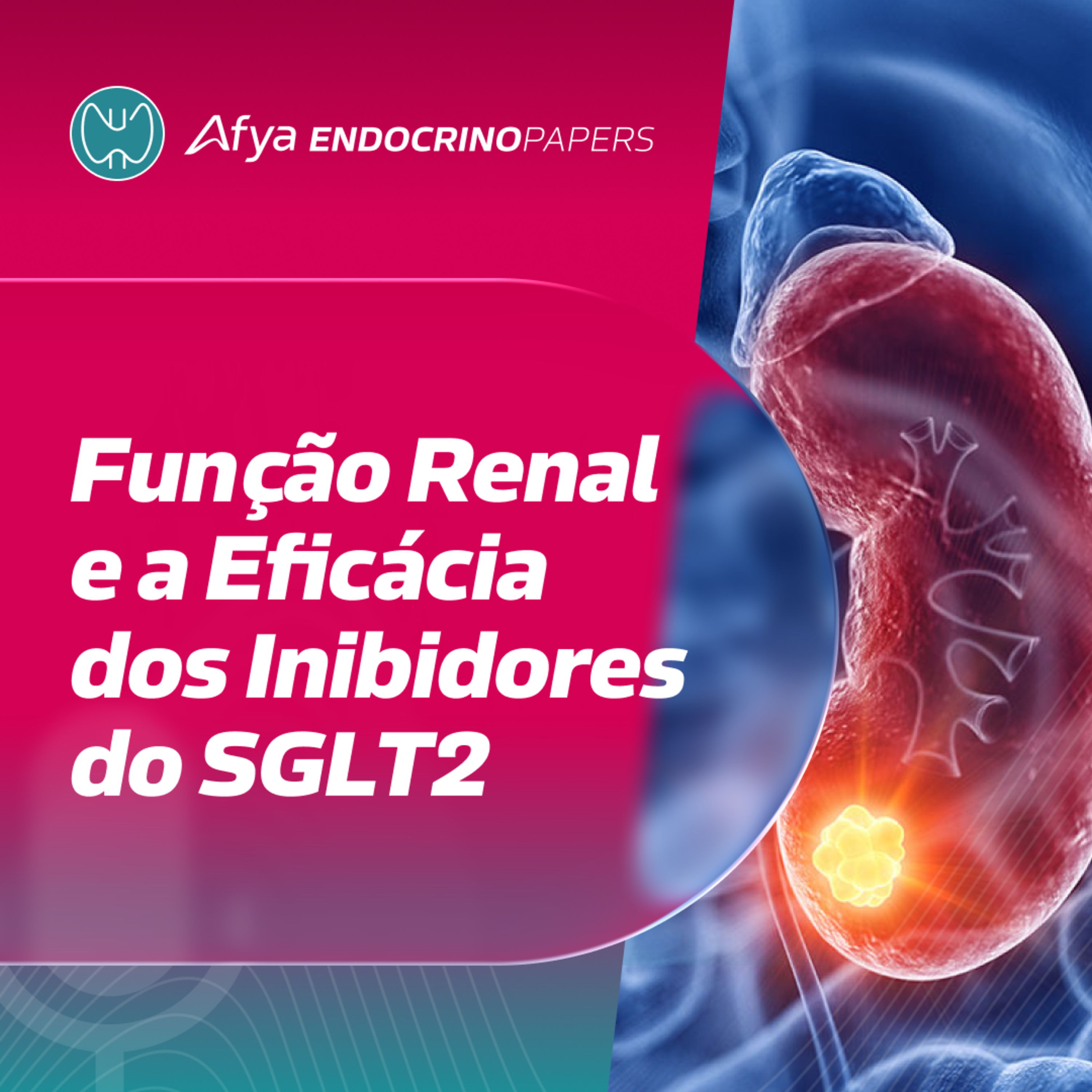 Qual é a relação entre a função renal e a eficácia dos inibidores do SGLT2?  episode artwork