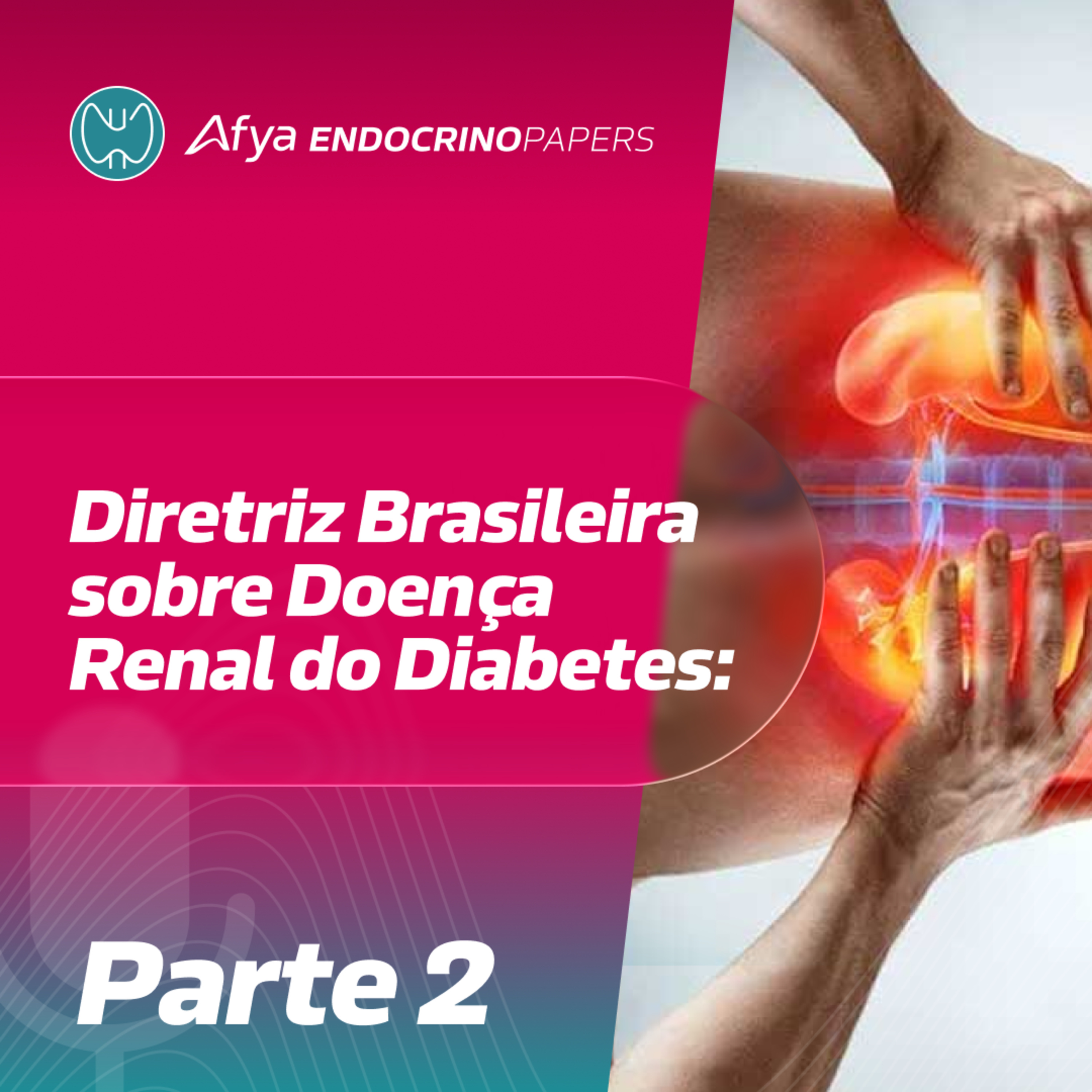 Diretriz Brasileira sobre Doença Renal do Diabetes: parte 2 episode artwork