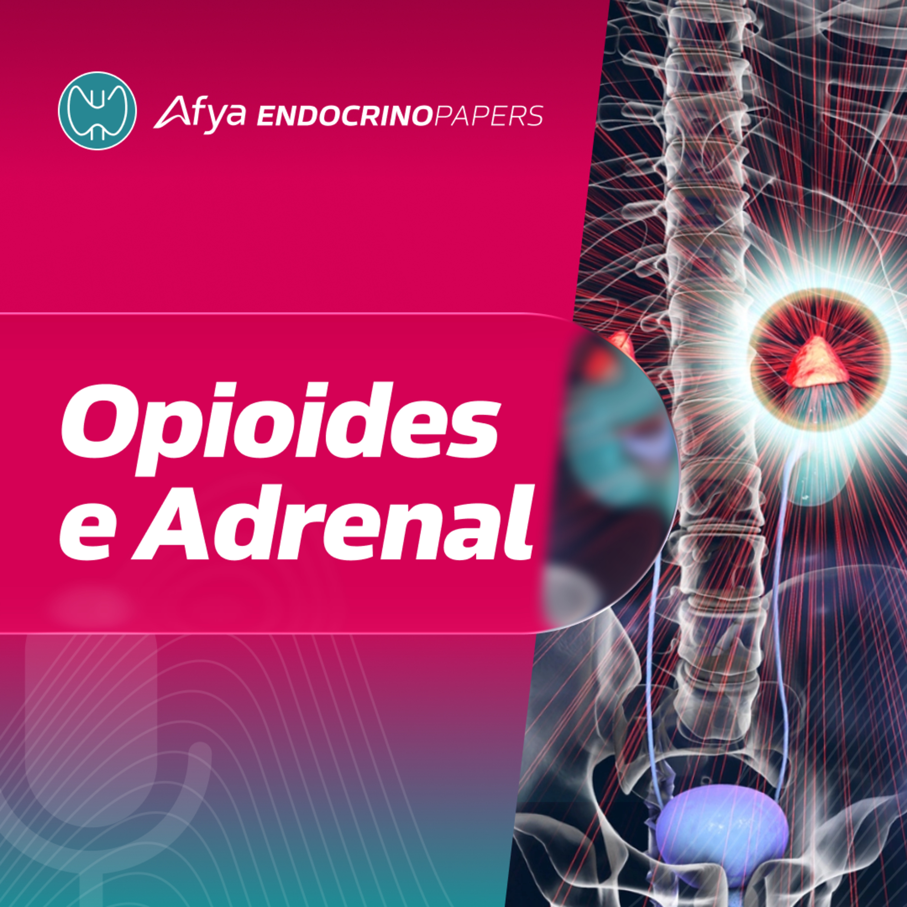 O uso de opioides pode causar insuficiência adrenal? Como avaliar? episode artwork