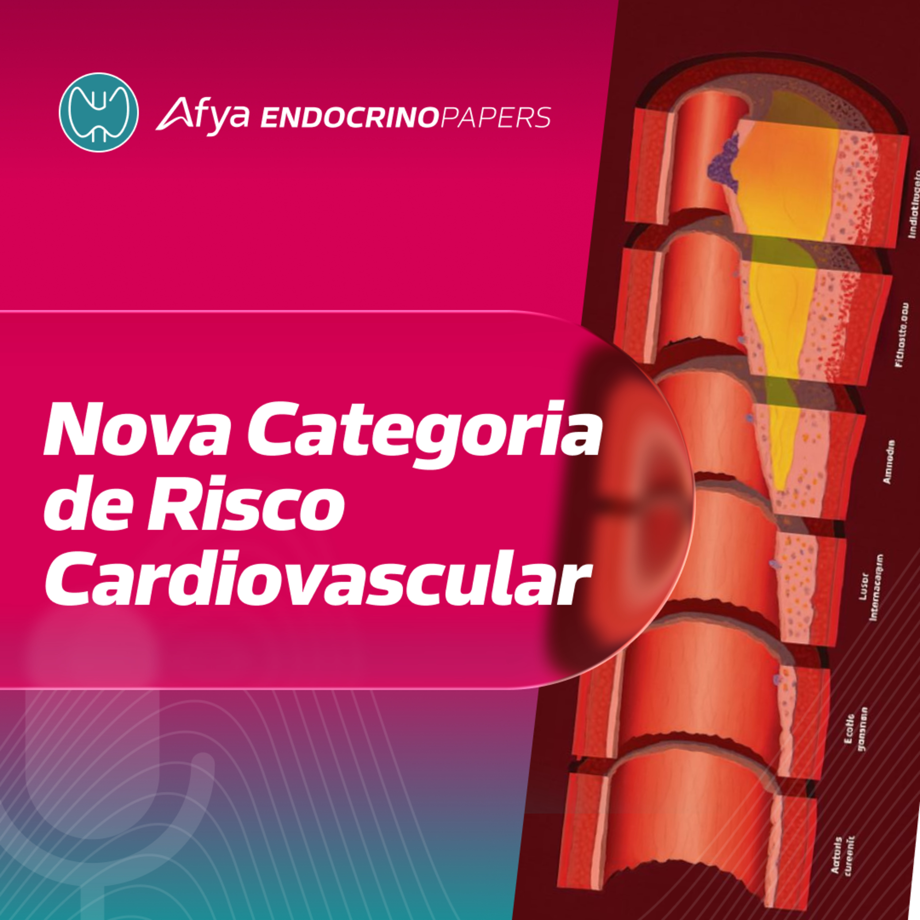 Novidade nas categorias de risco cardiovascular! episode artwork