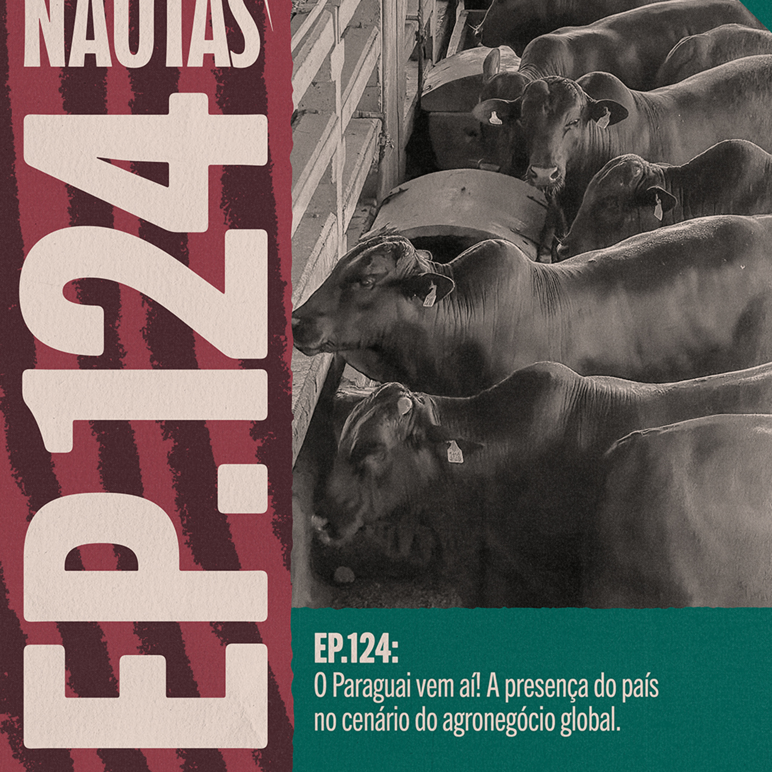 EP. 124 - O PARAGUAI VEM AÍ! A PRESENÇA DO PAÍS NO CENÁRIO DO AGRONEGÓCIO GLOBAL. episode artwork