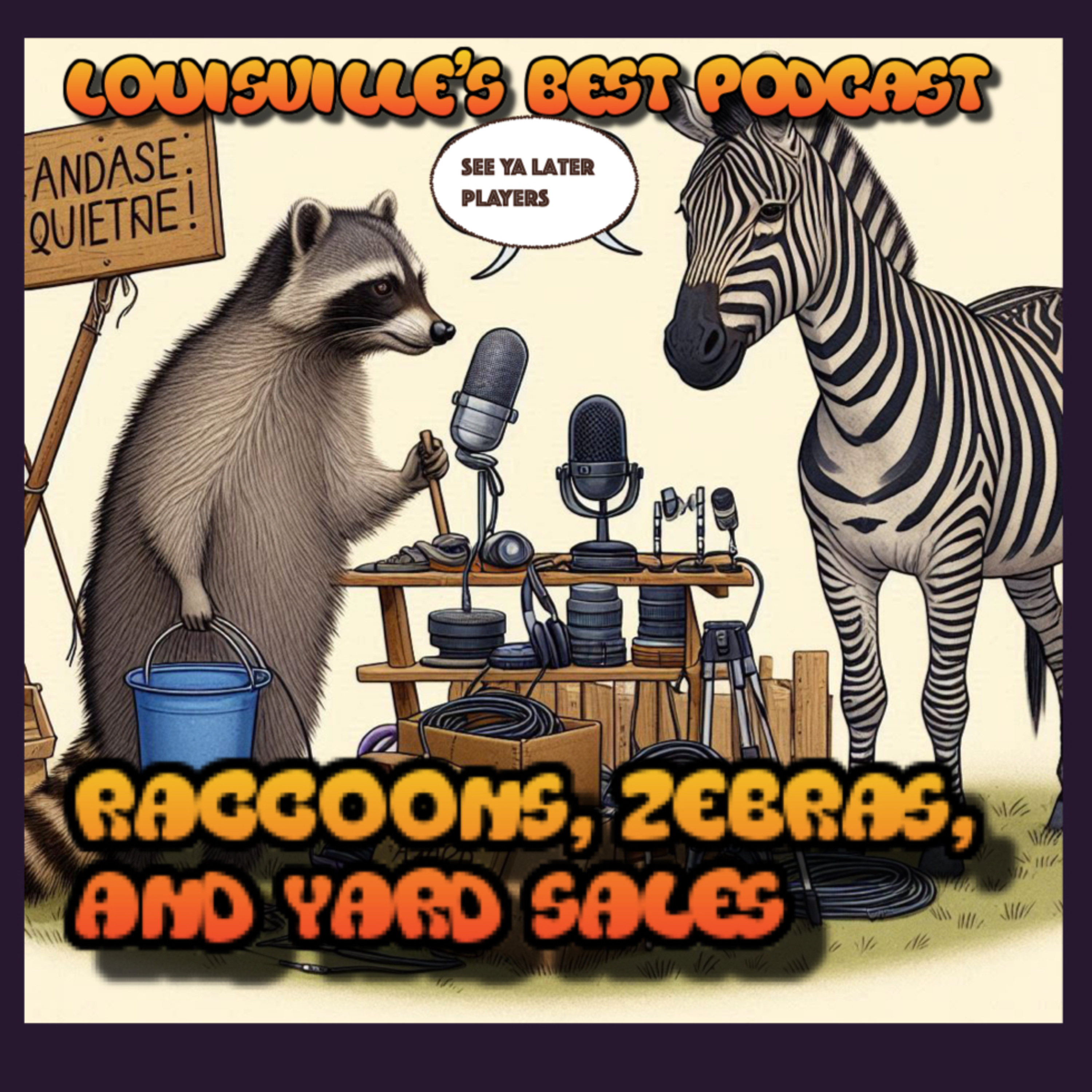 Raccoons, Zebras, and Yard Sales  episode artwork
