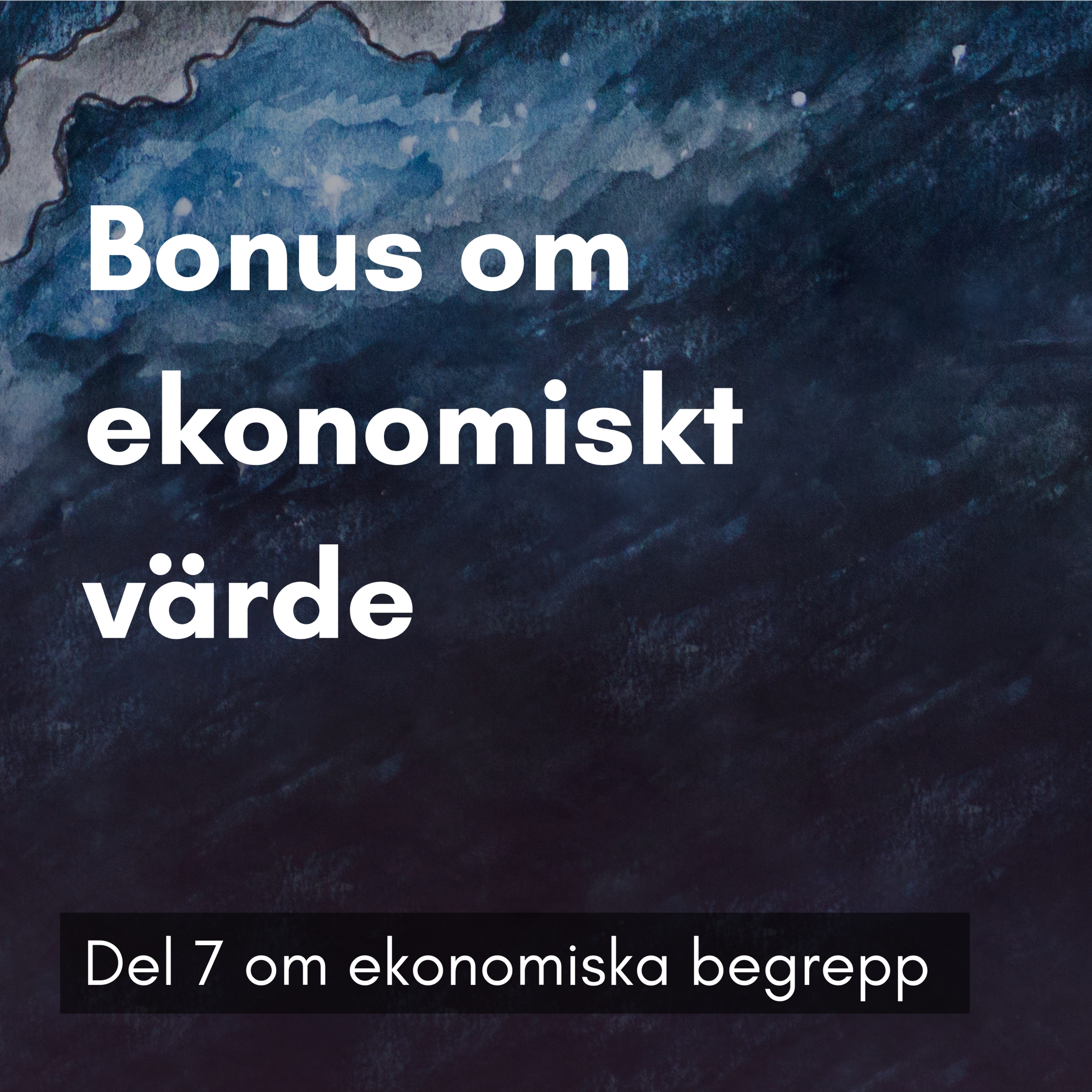 9. Bonusavsnitt - fördjupning om ekonomiskt värde