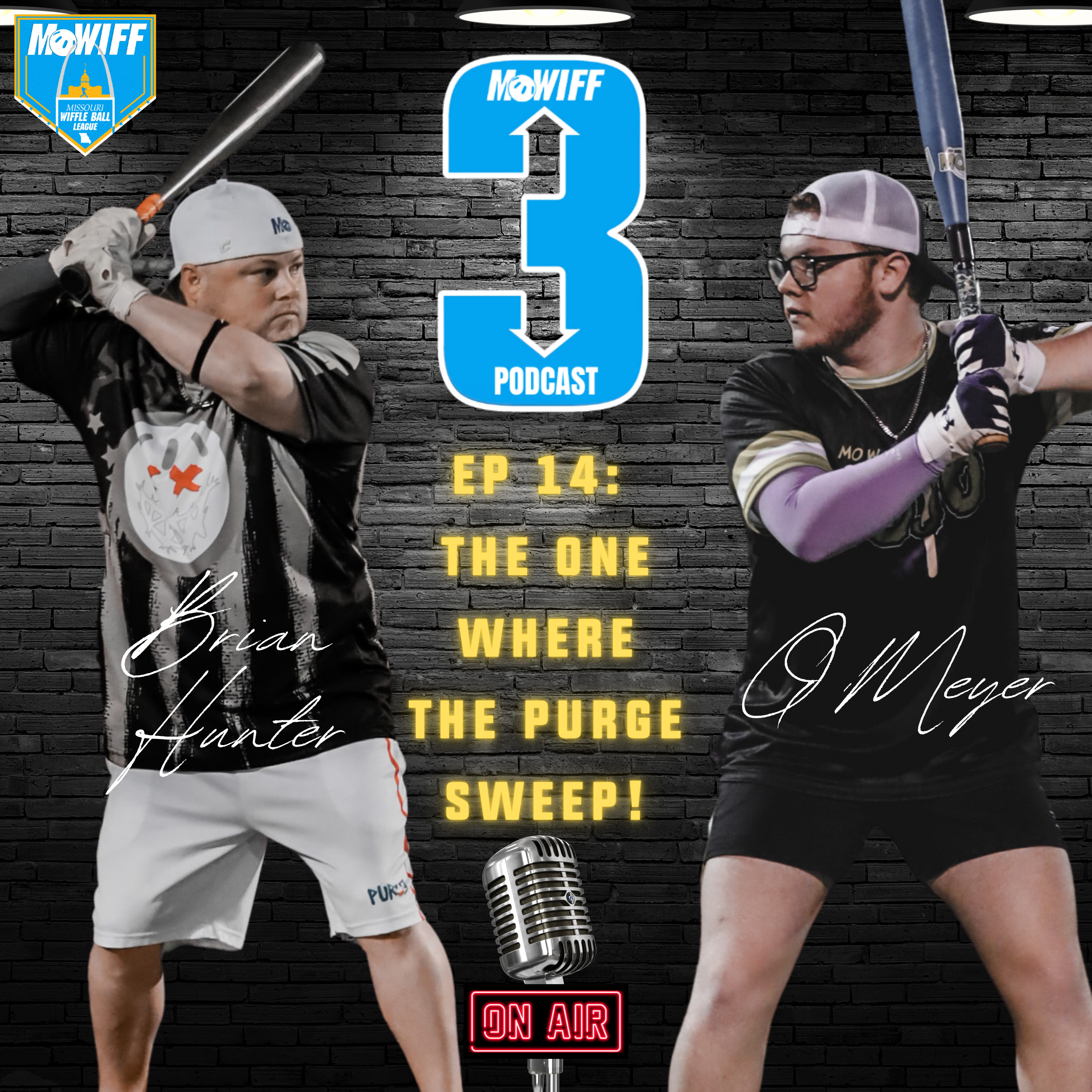Ep 14 - 3U3D - "The One Where The Purge Sweep" episode artwork