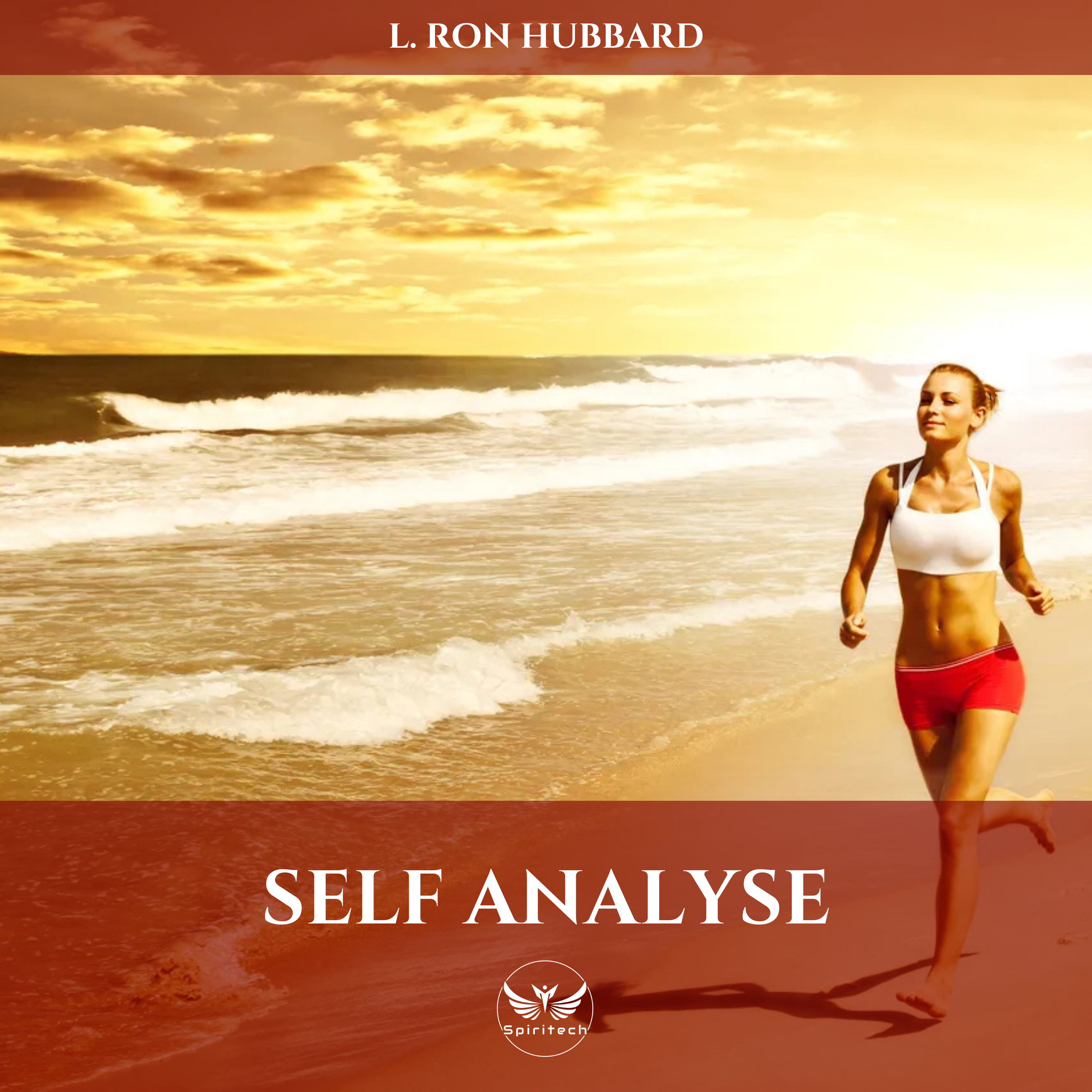 Le tableau Hubbard d'évaluation humaine (Self analyse, Chapitre 8)