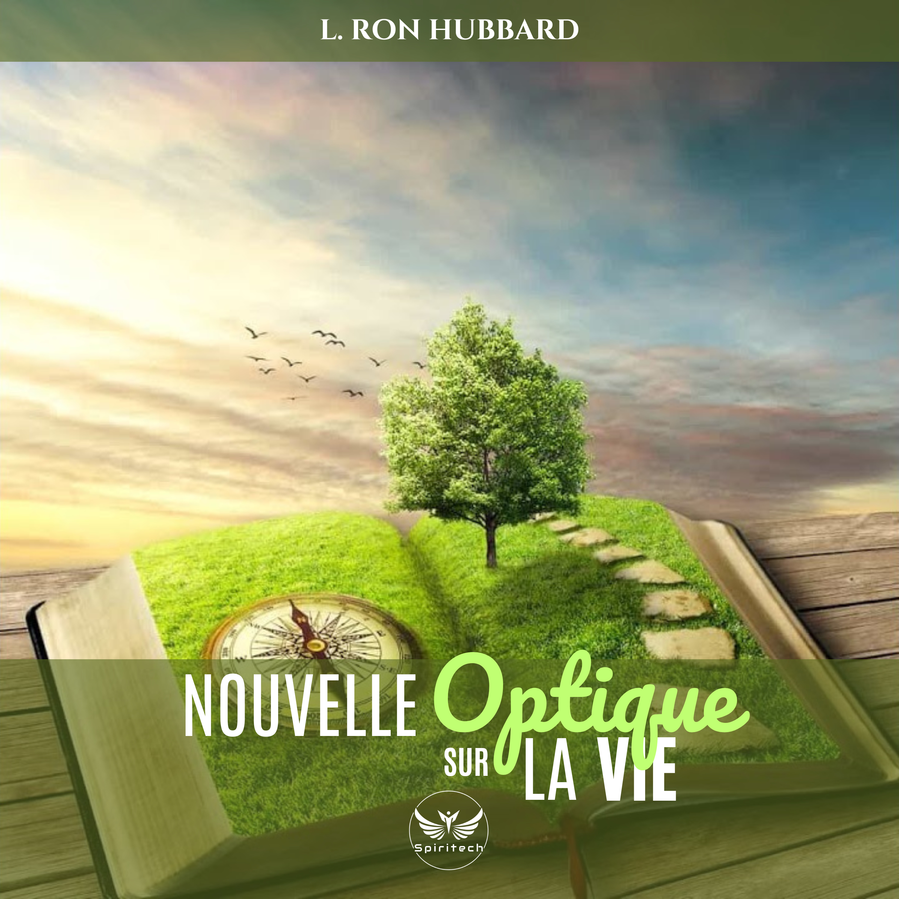 Le pourquoi (Une nouvelle optique sur la vie - Chapitre 6)