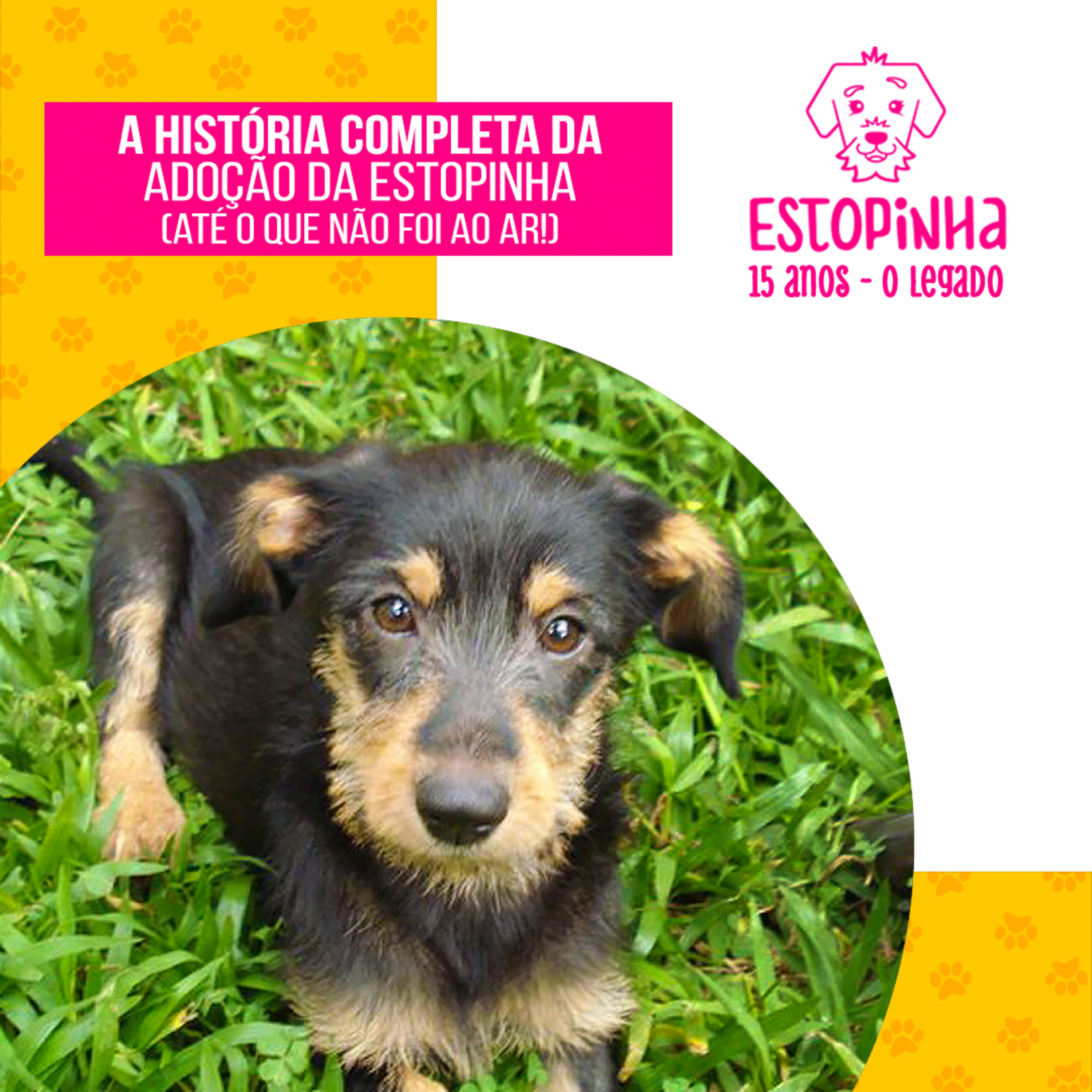 EP 96: A história completa da adoção da Estopinha – até o que não foi ao ar! (Estopinha 15 anos - O Legado) episode artwork