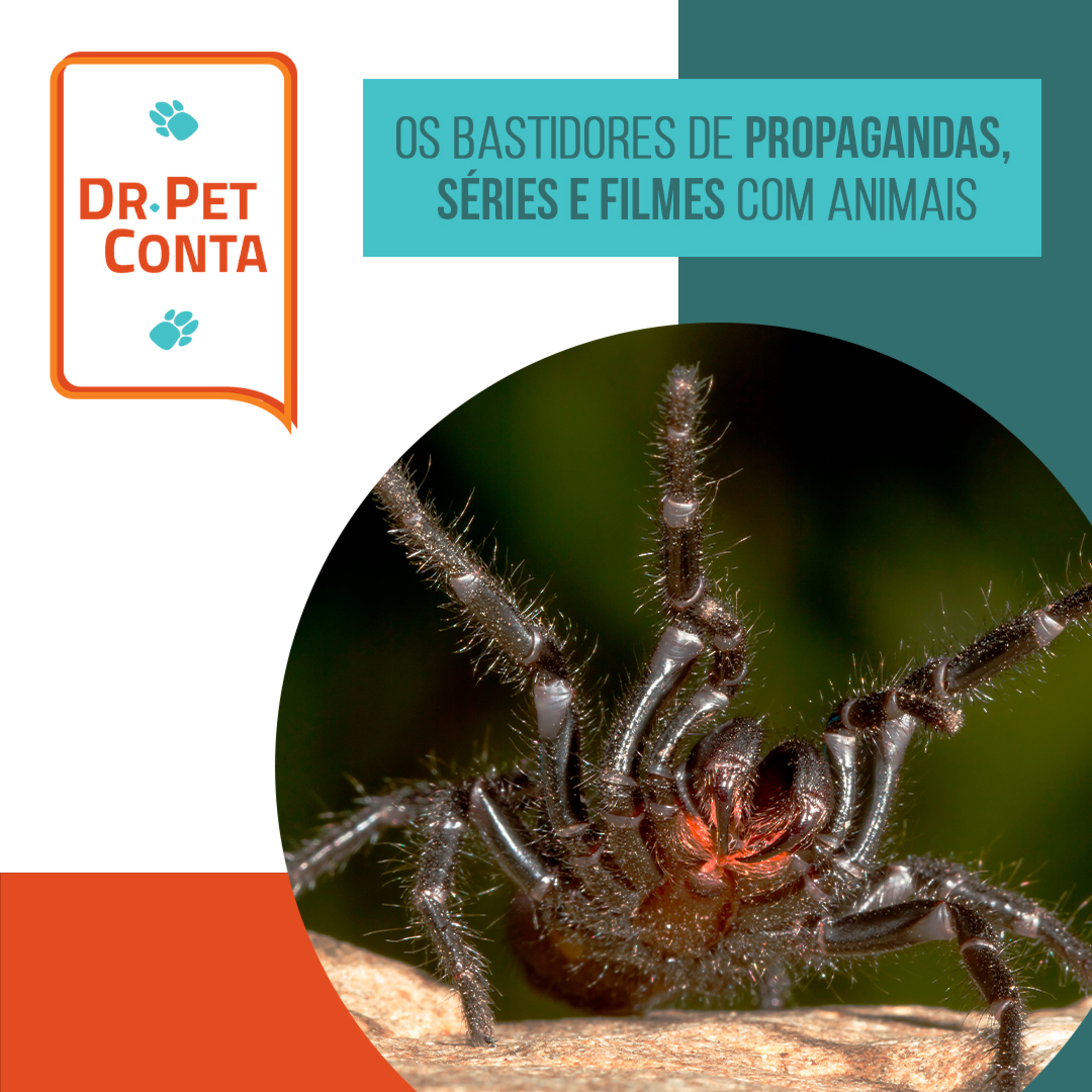 EP 99: Dr Pet Conta: os bastidores de propagandas, séries e filmes com animais episode artwork