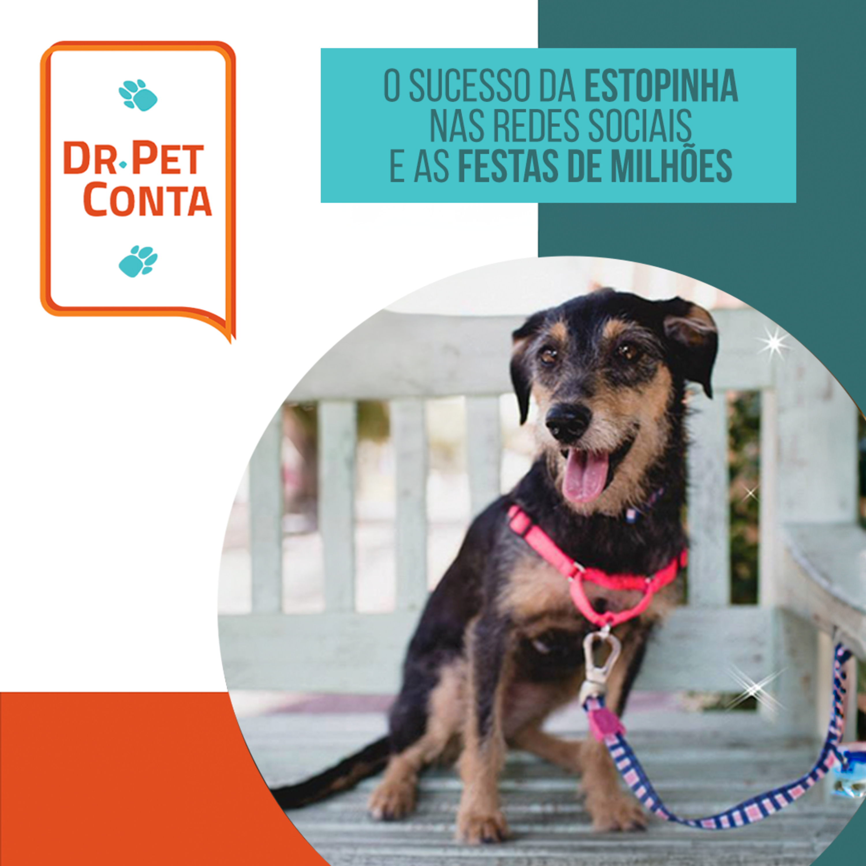 EP 106: Dr Pet Conta: o sucesso da Estopinha nas redes sociais e as festas de milhões episode artwork