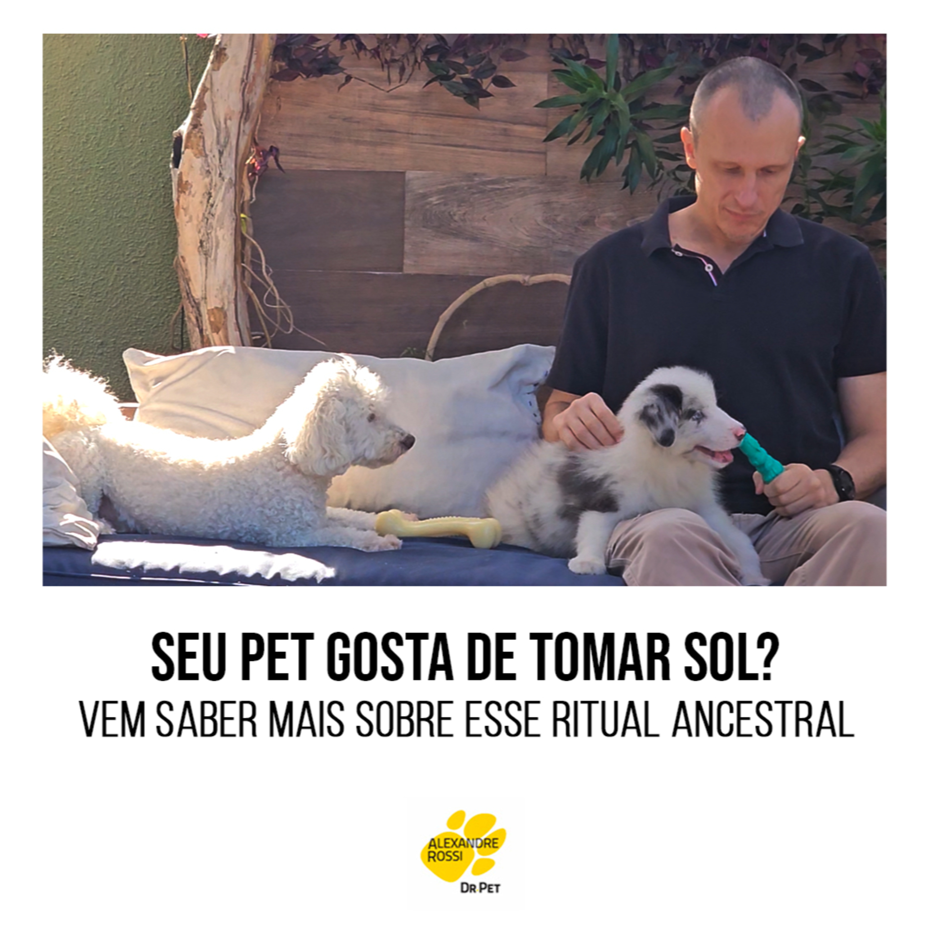 EP 111: Seu pet gosta de tomar sol? Vem saber mais sobre esse ritual ancestral episode artwork