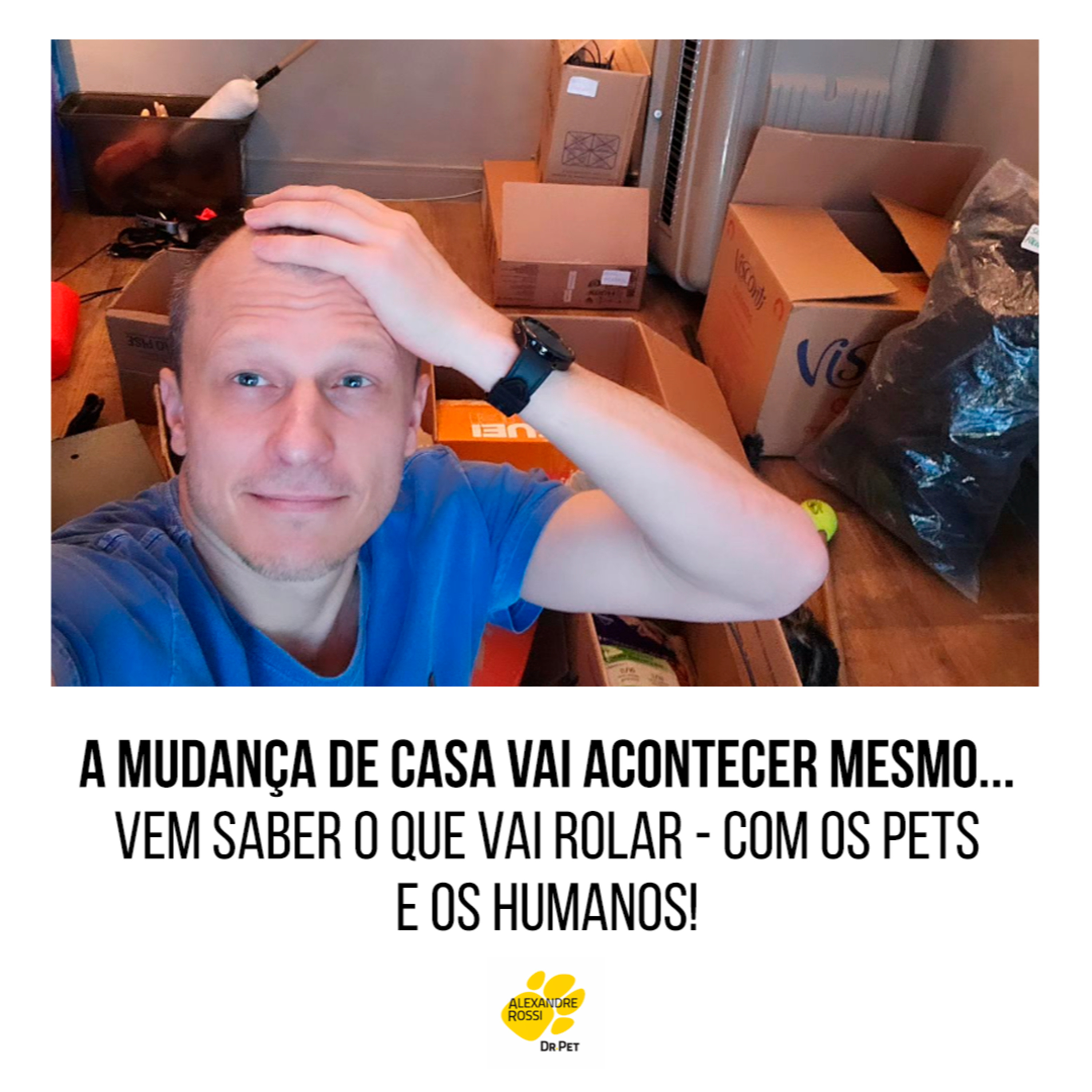 EP 114: A mudança de casa vai acontecer mesmo… Vem saber o que vai rolar - com os pets e os humanos! episode artwork
