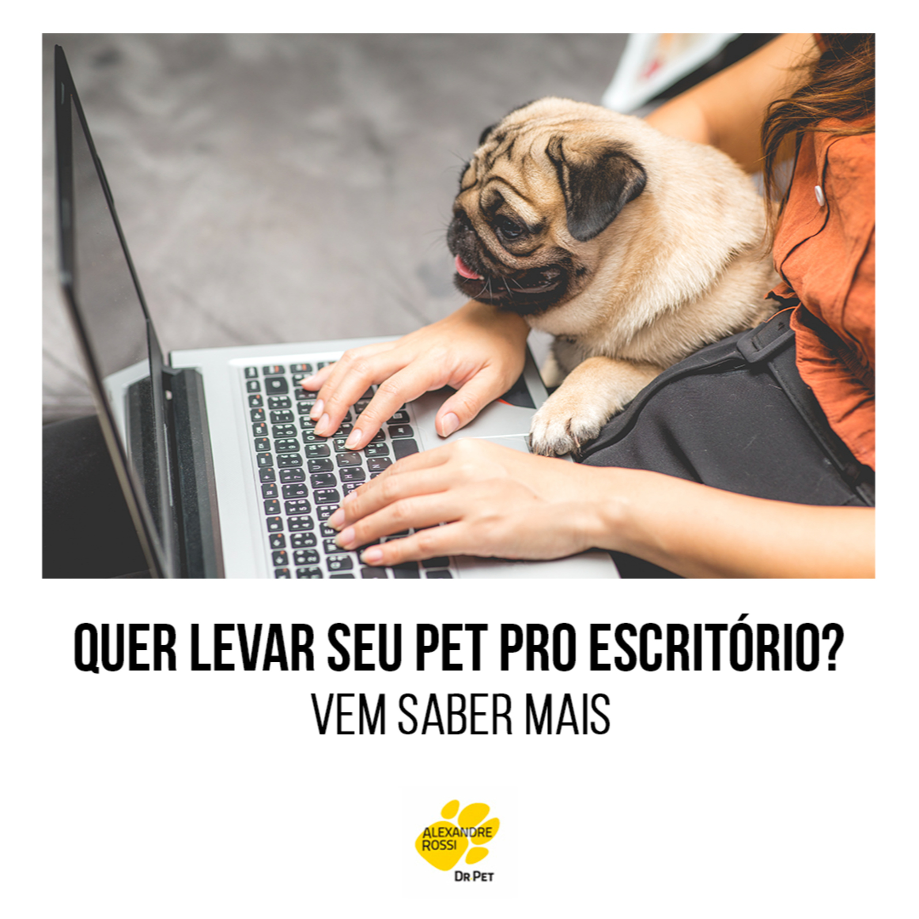 EP 116: Quer levar seu pet pro escritório? Vem saber mais episode artwork