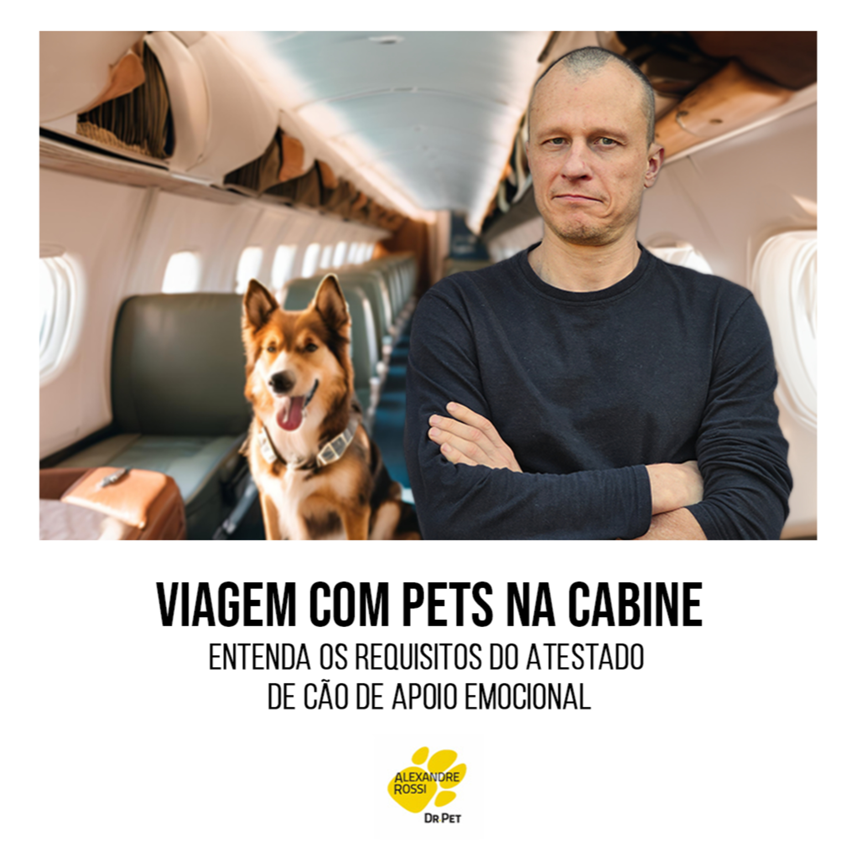 EP 127: VIAGEM COM PETS NA CABINE: Entenda os requisitos do Atestado de Cão de Apoio Emocional episode artwork