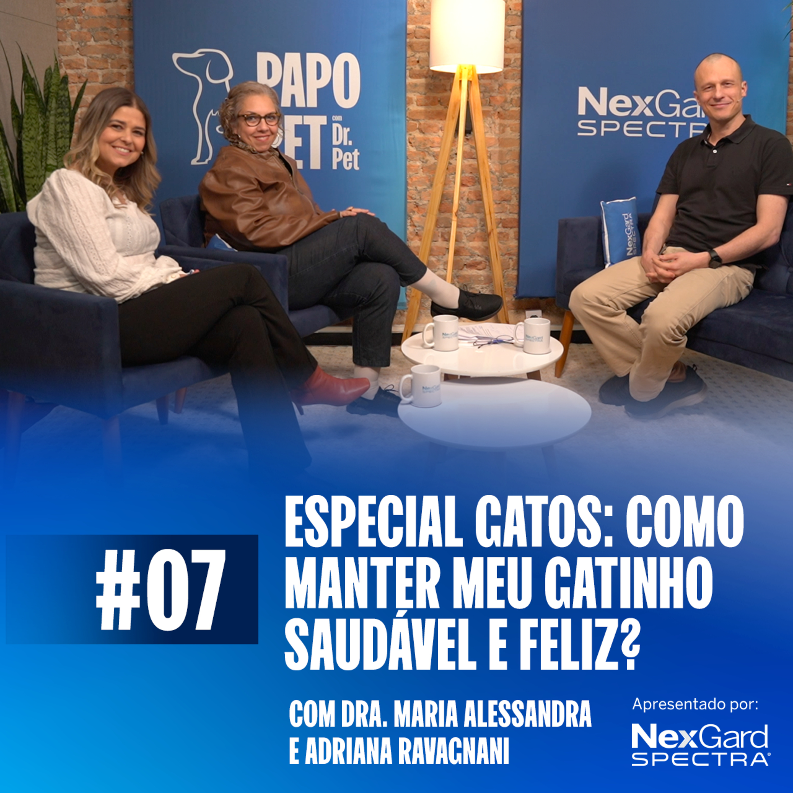 PAPO PET #07 | Especial gatos: como manter meu gatinho saudável e feliz? episode artwork