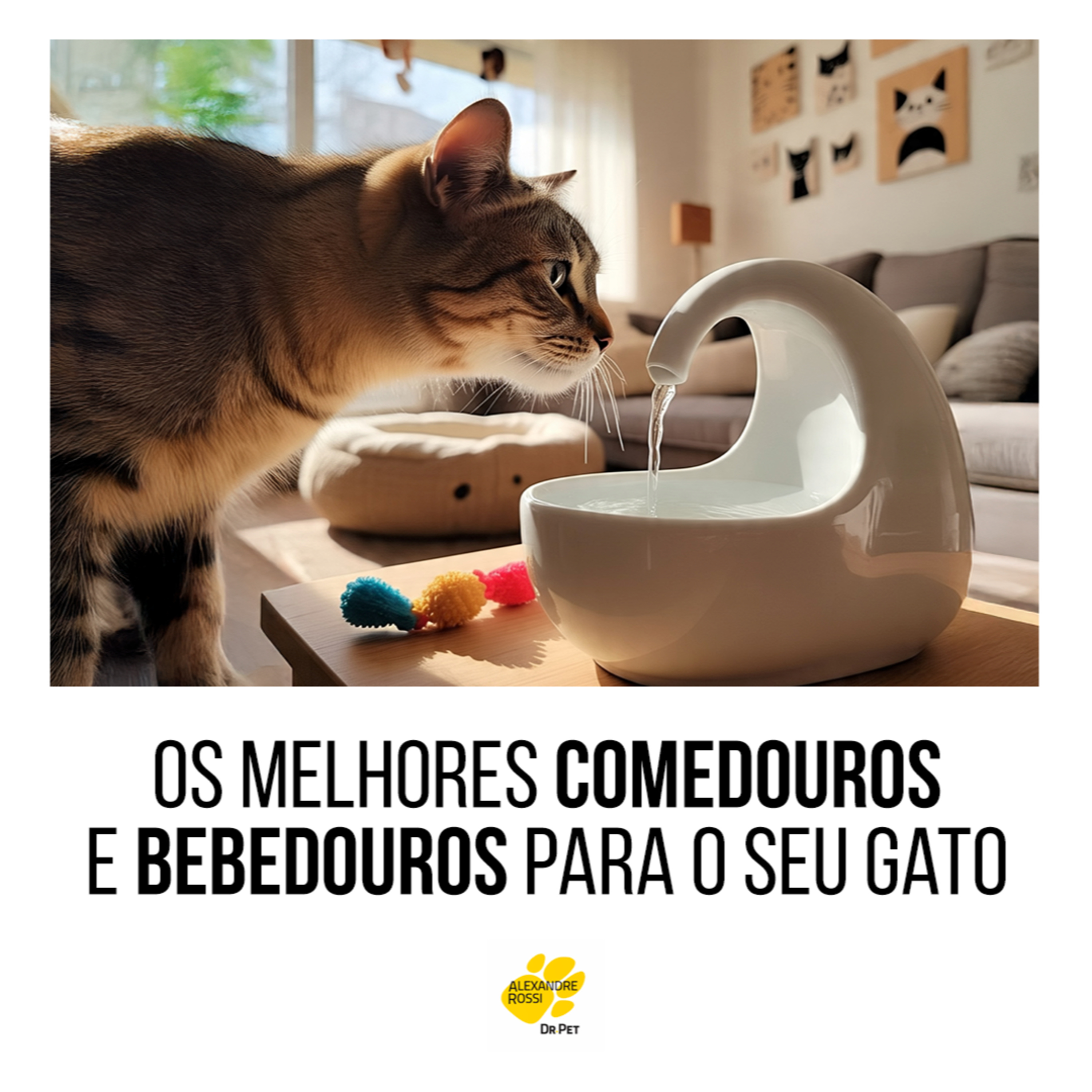 Podcast do Dr Pet