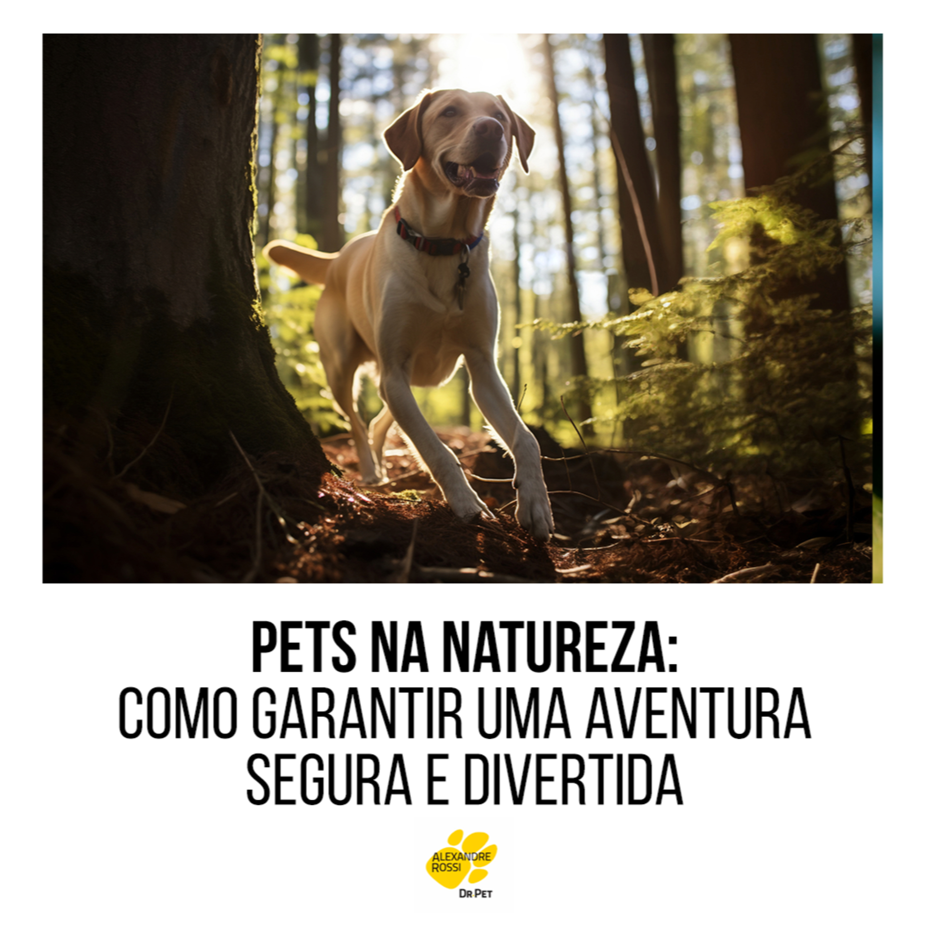 EP 191: Pets na natureza: como garantir uma aventura segura e divertida episode artwork