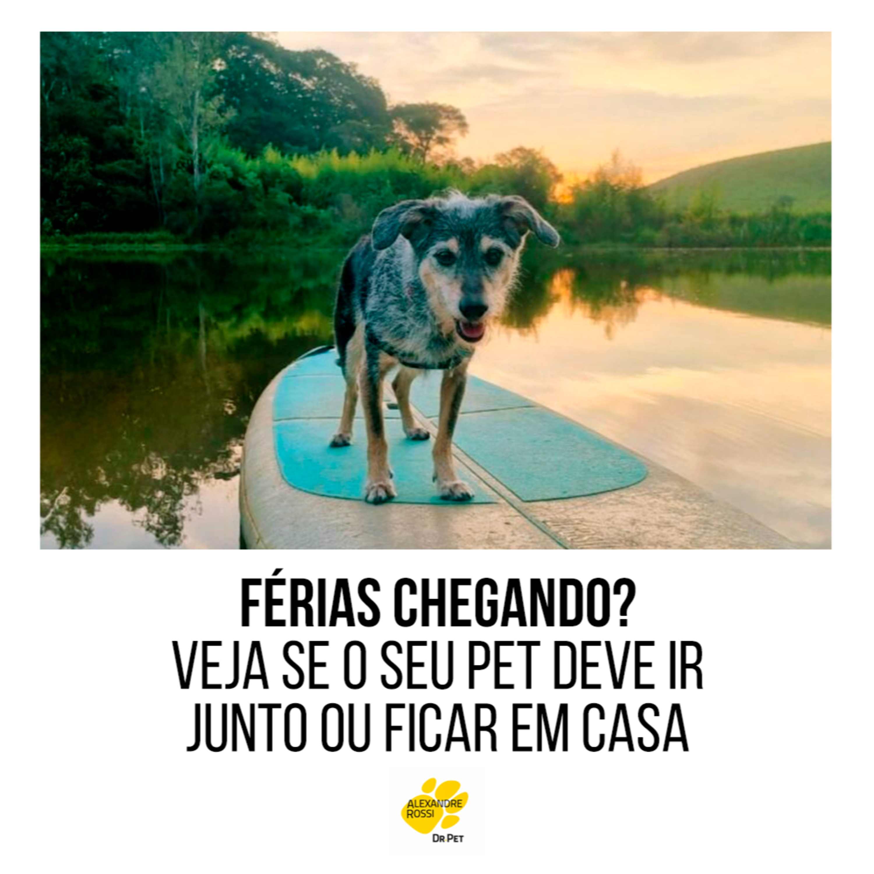 EP 192: Férias chegando? Veja se o seu pet deve ir junto ou ficar em casa episode artwork